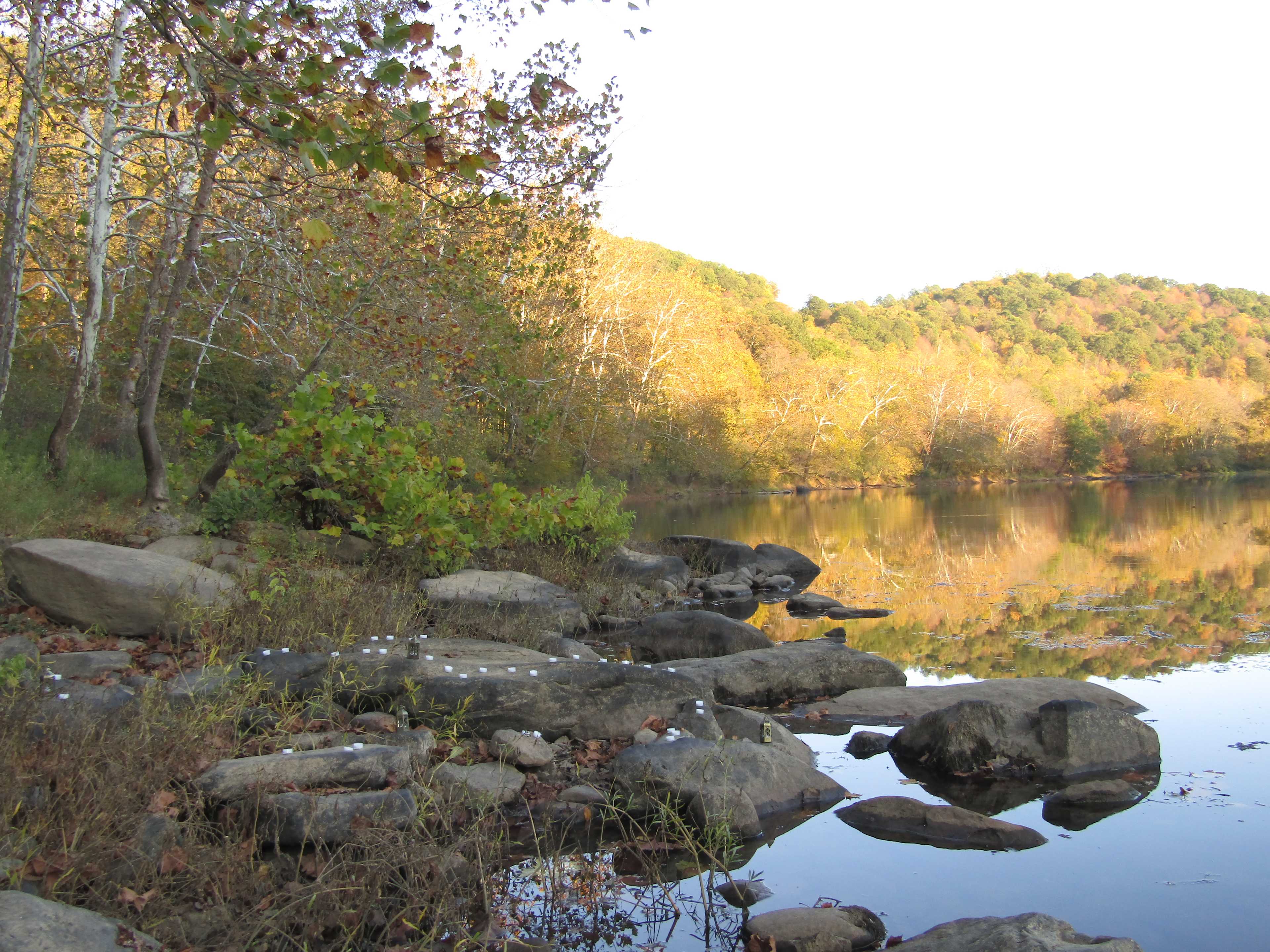 EarthSky Private Camp & Retreat