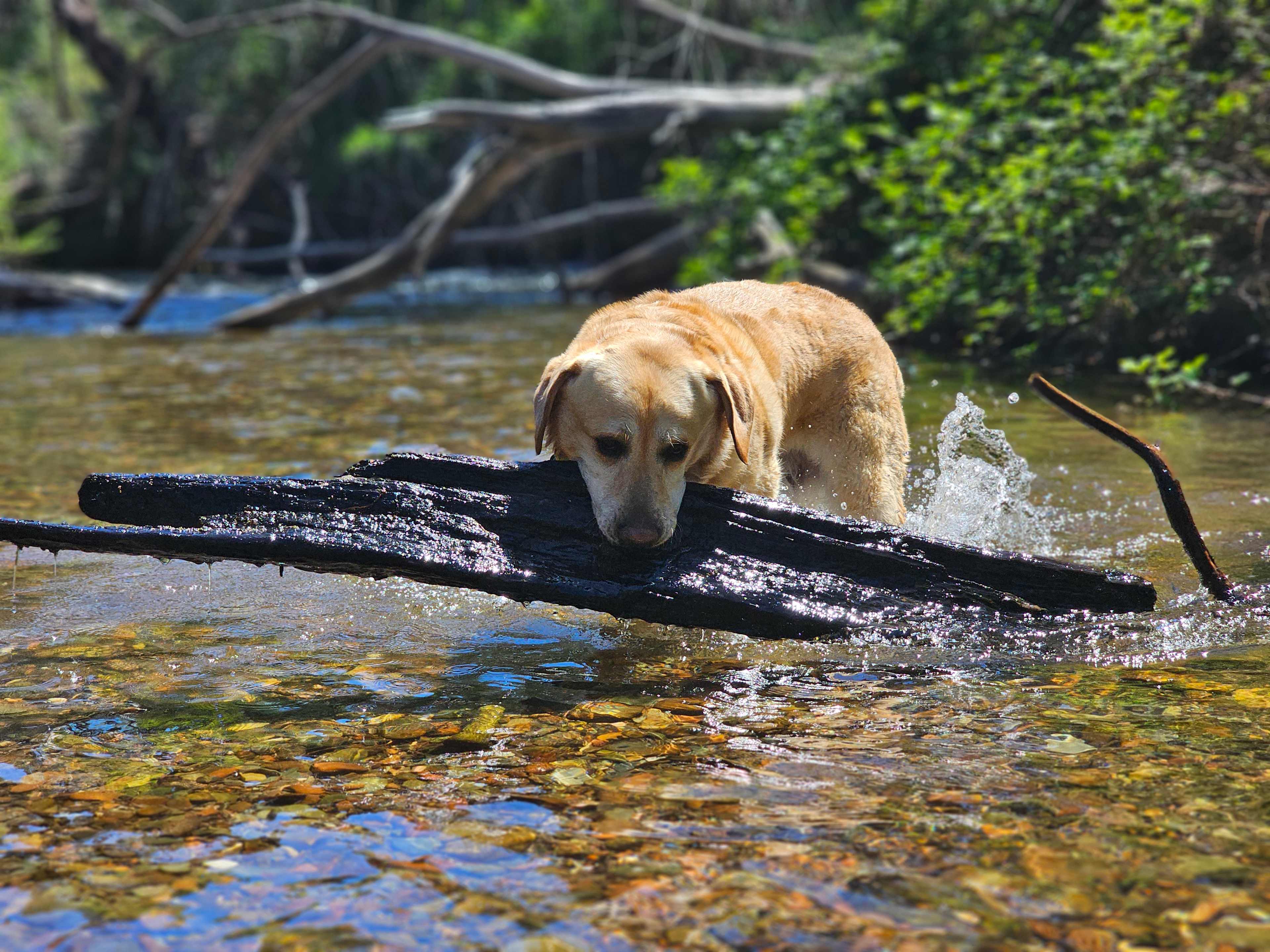 Nariel Creek Farm Stay