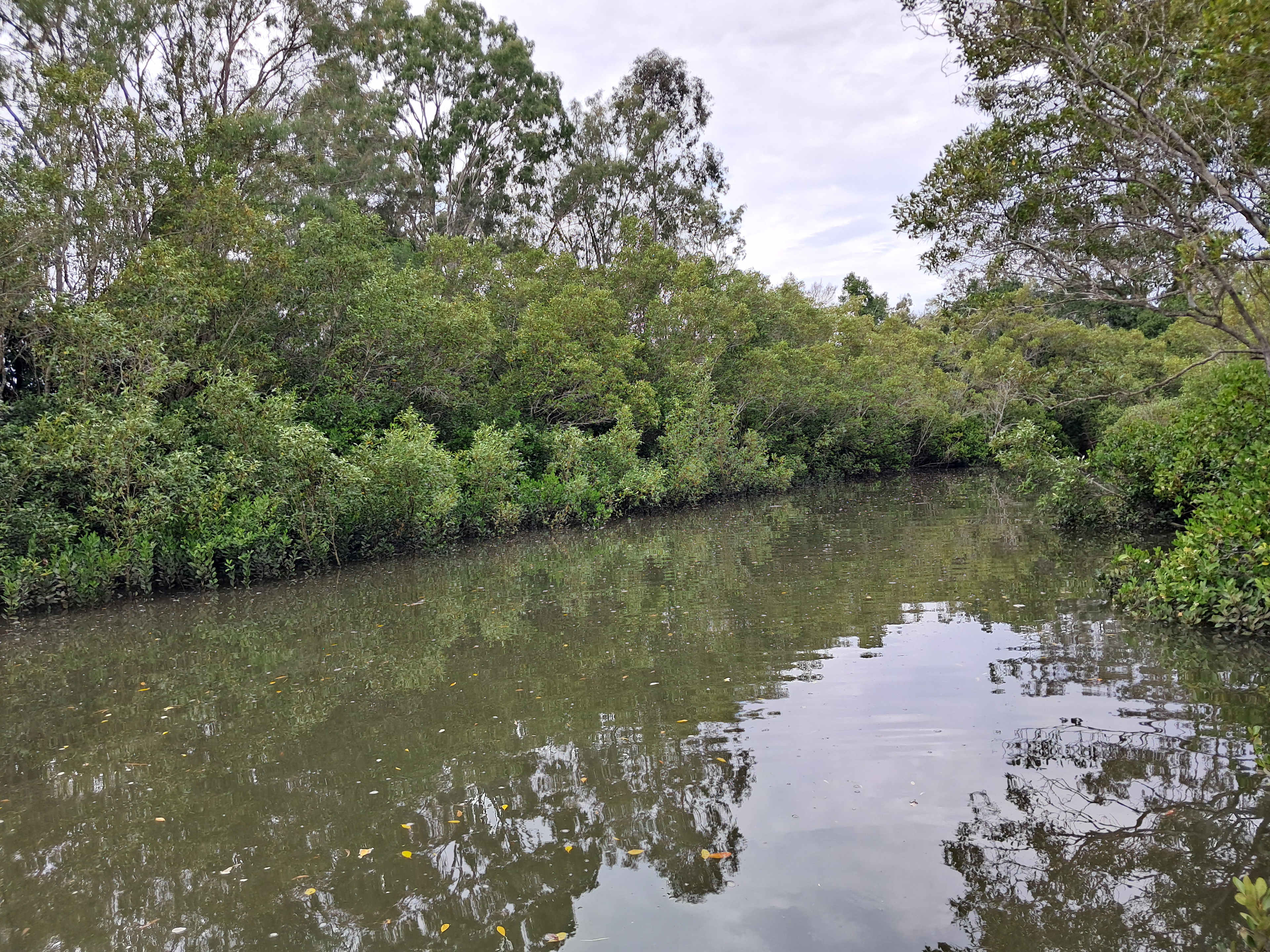 Beelbi Creek Stop & Stay