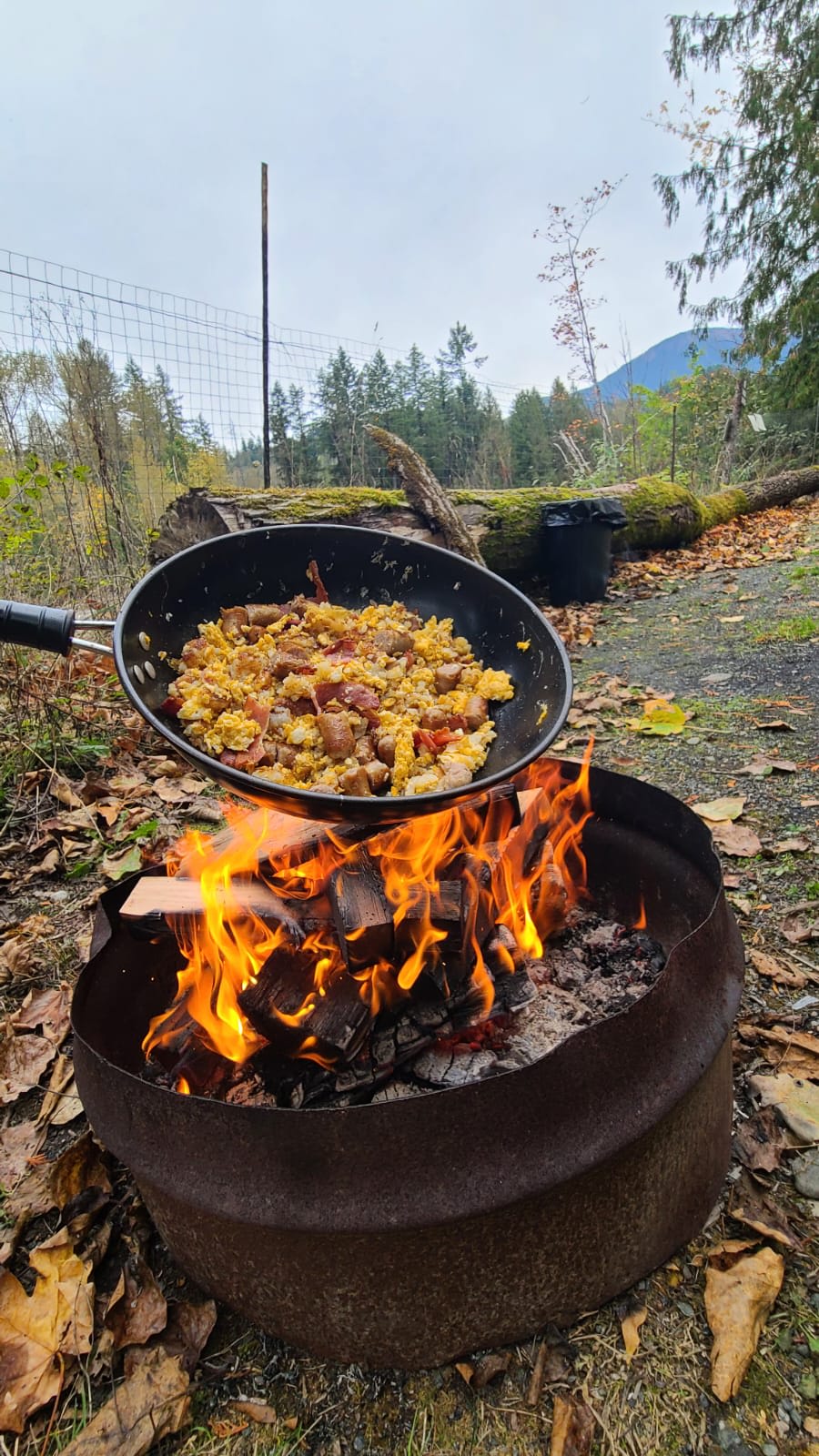 Tamihi Meadows Cabins & RV Park