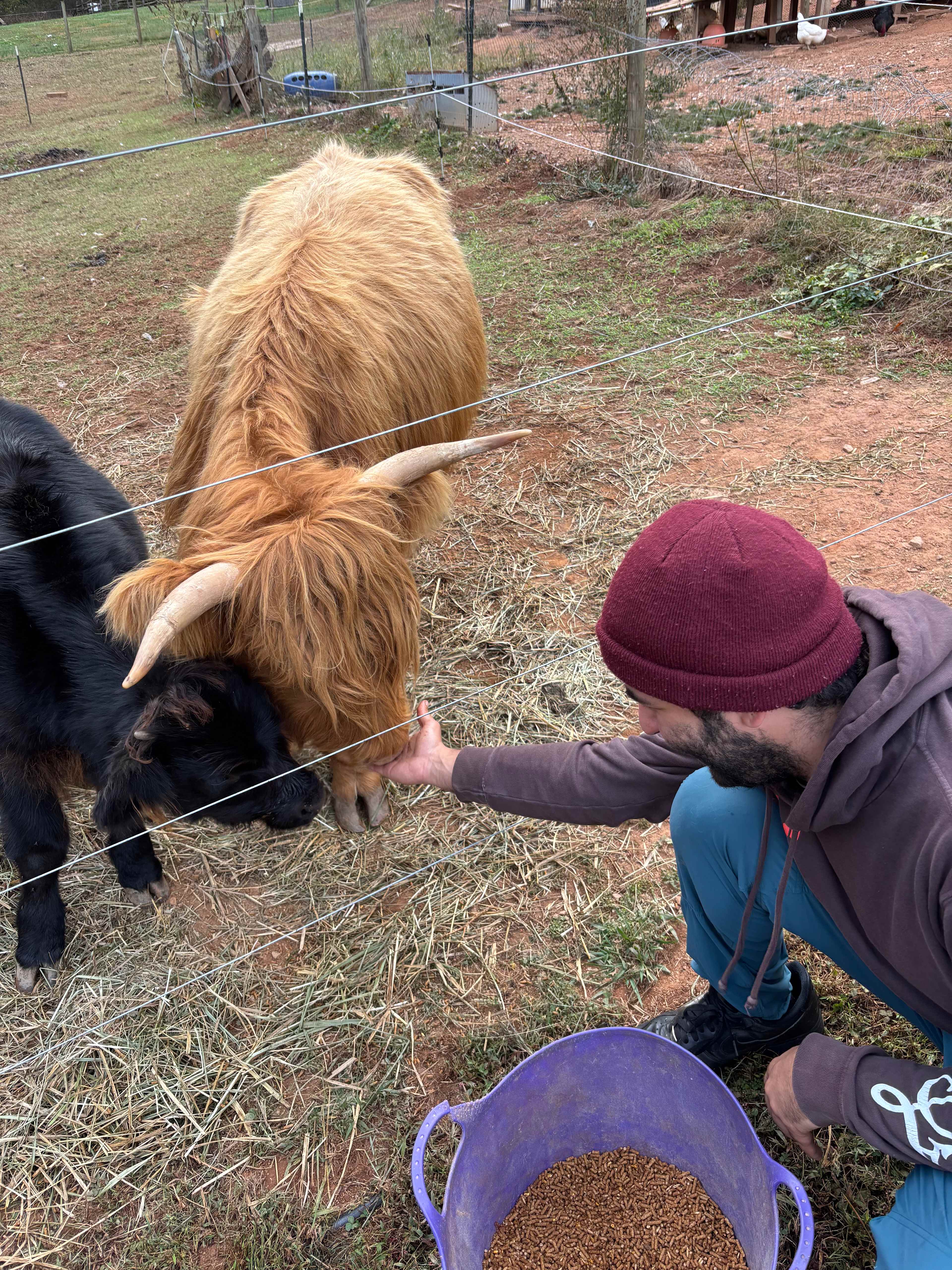 Mountain Farm Camping & Glamping