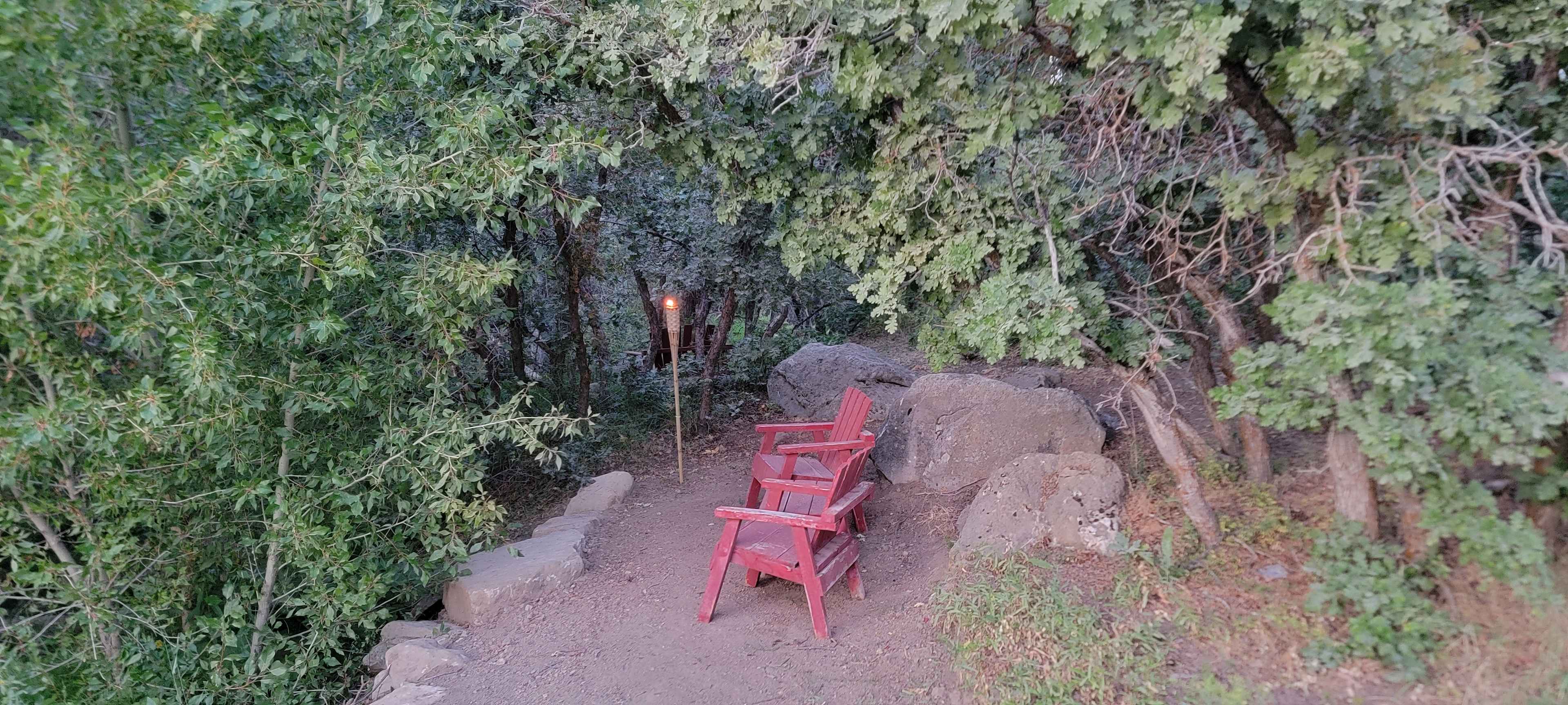 Picture of the site