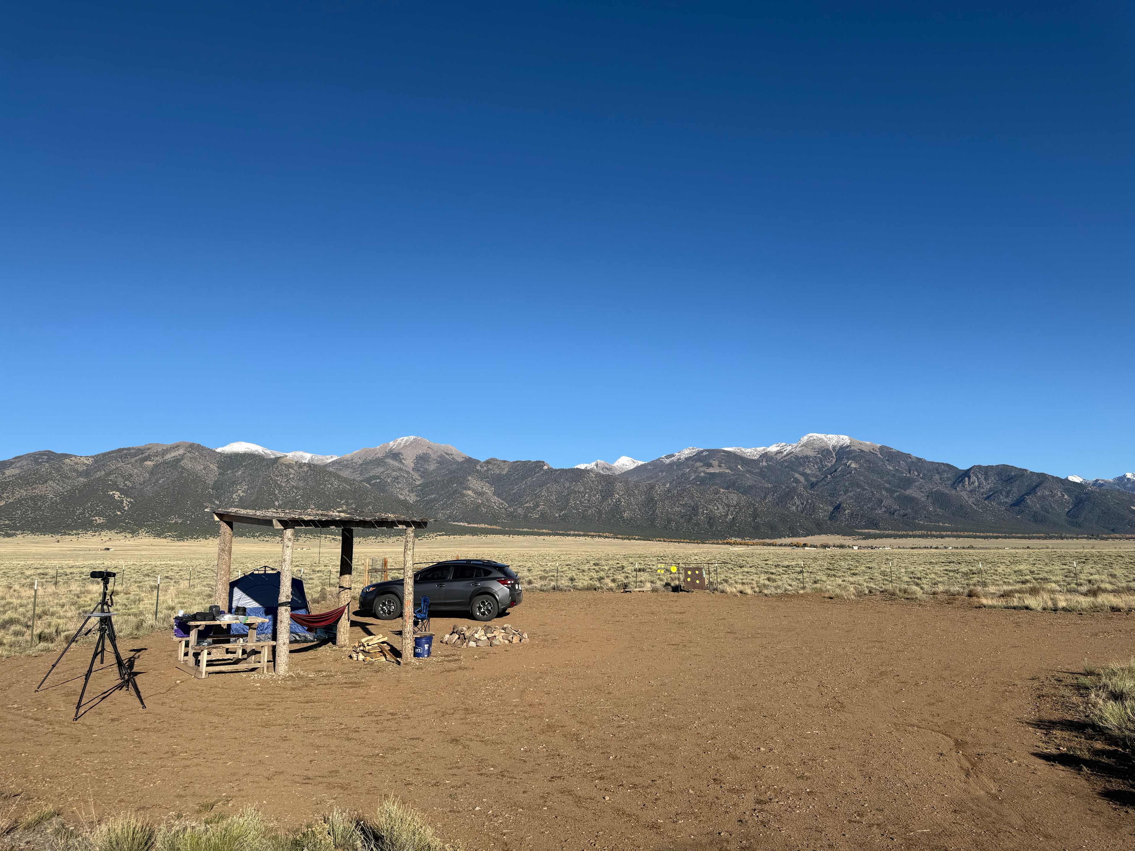 Mountain Bird Alpine Desert