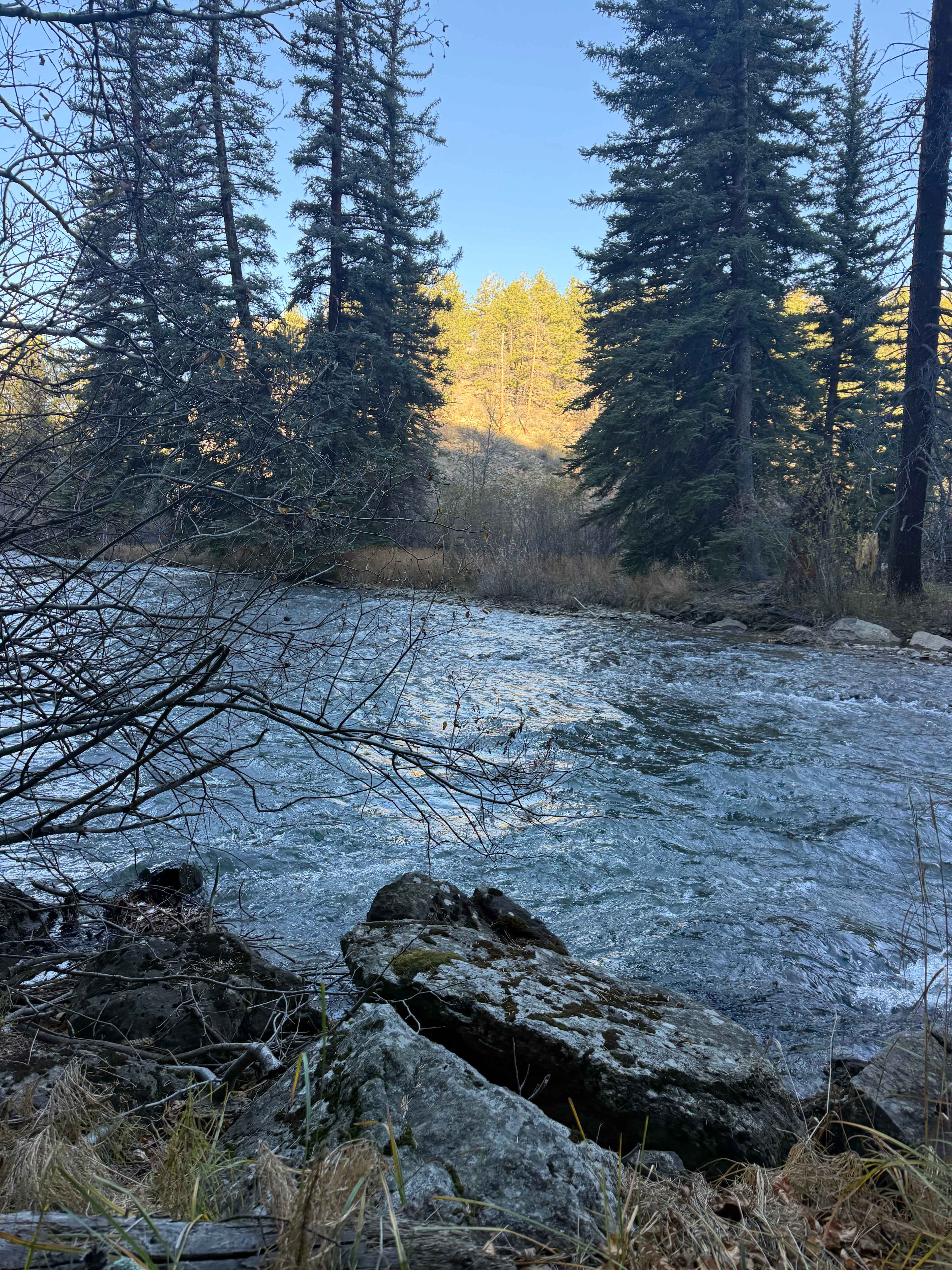 From my tent entrance 