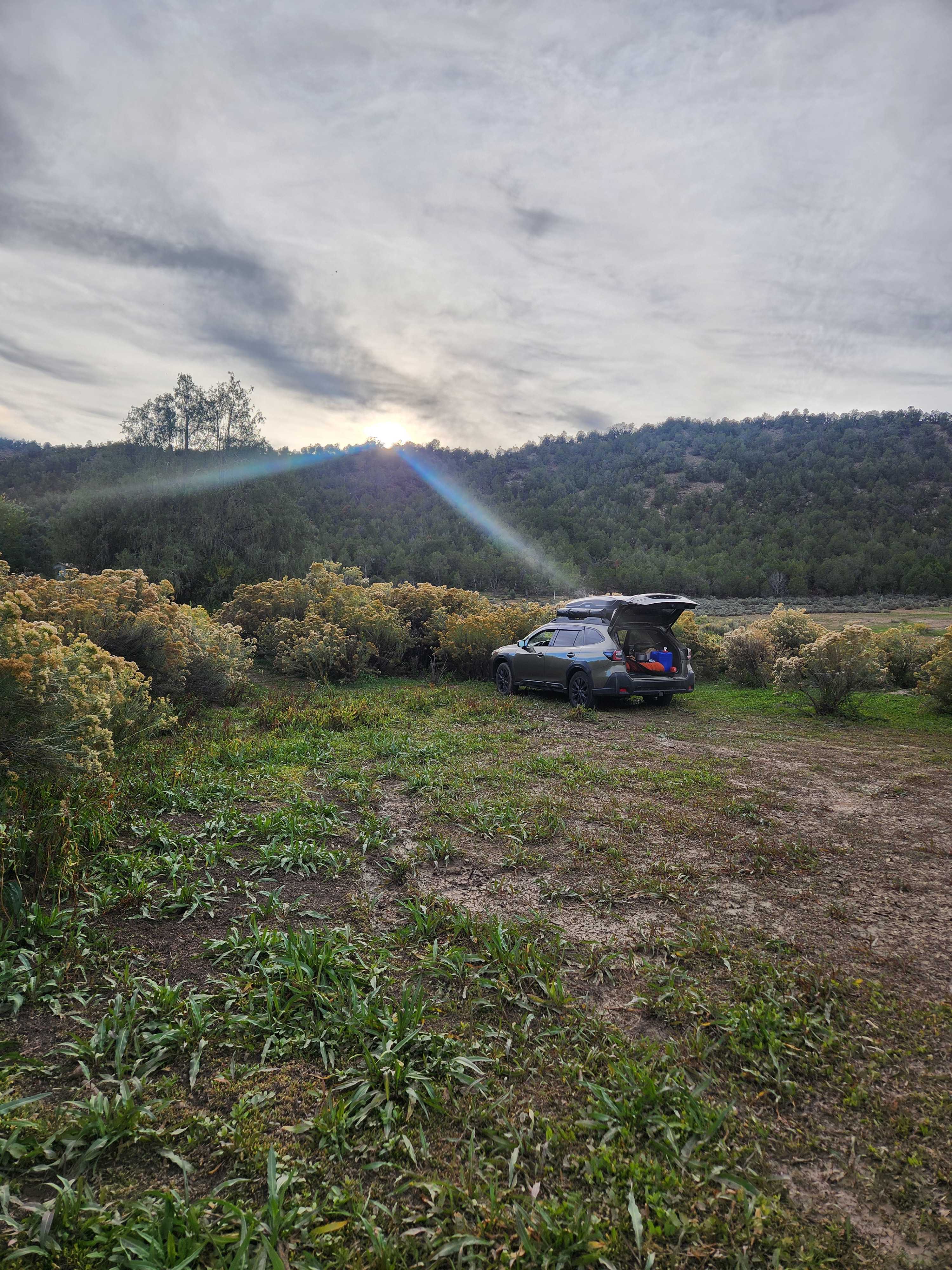 Linda M.’s Santa Rita Ranch