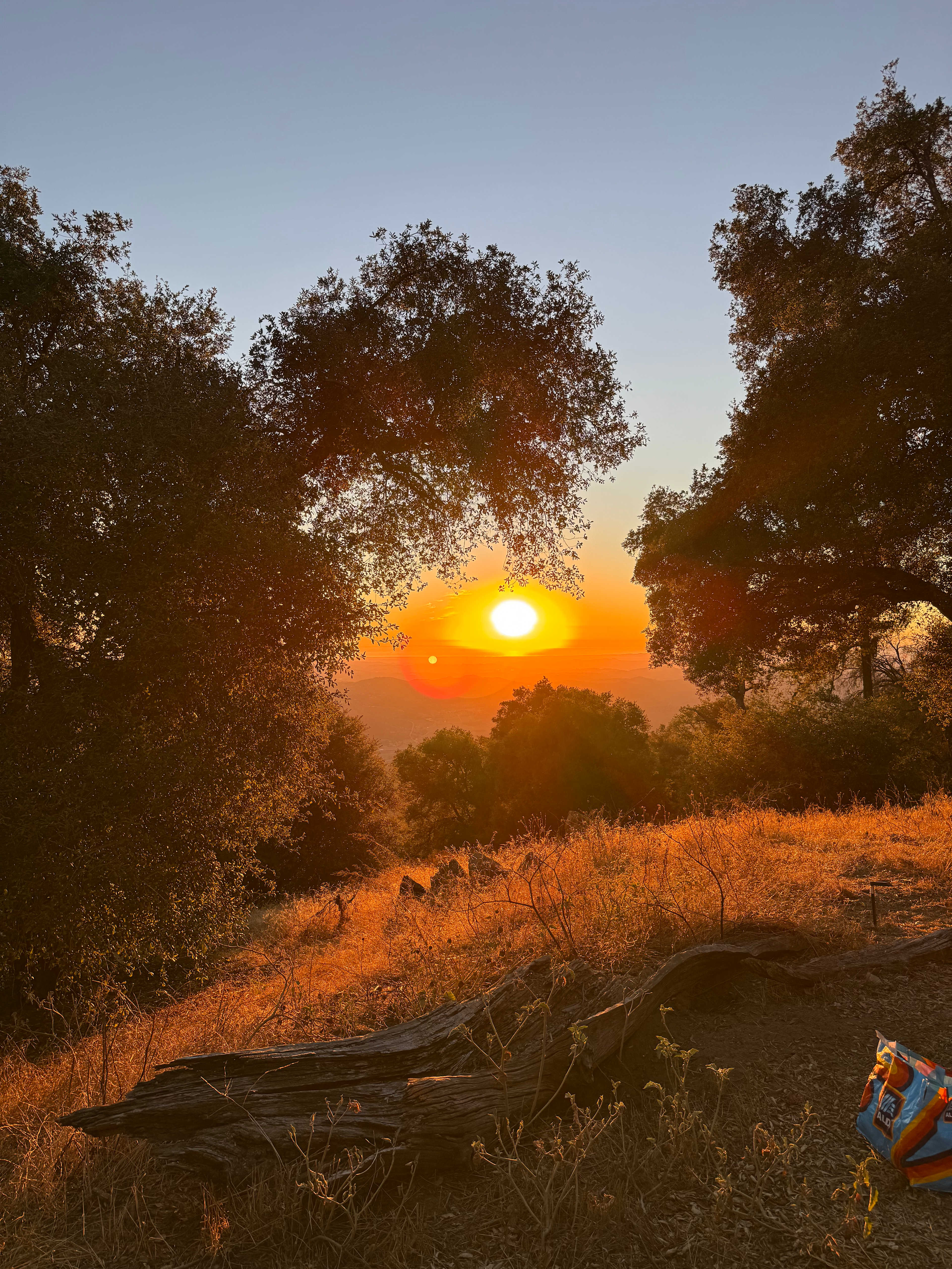 Magical Harrison Serenity Ranch