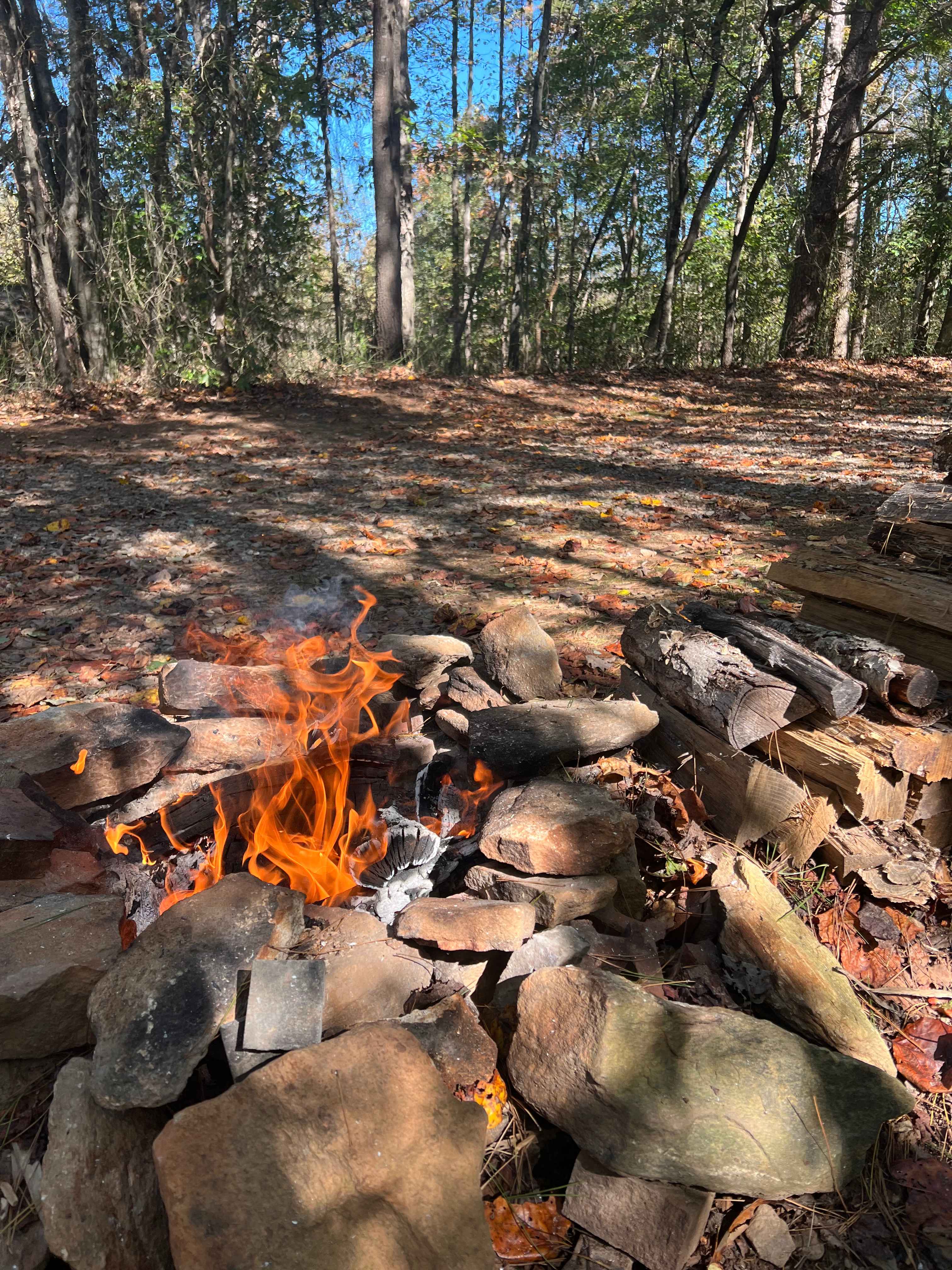 Eden Oaks Vineyard & Campground