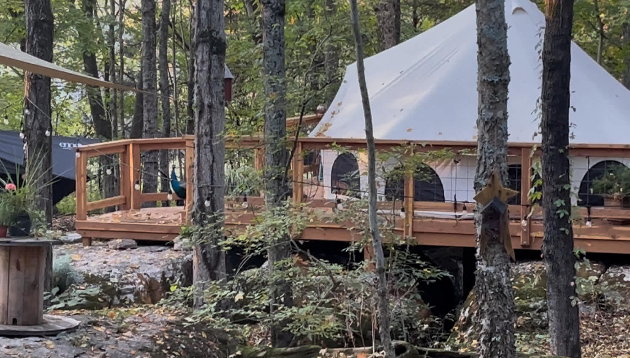 Morning at the tent with peacocks visiting to say good morning 