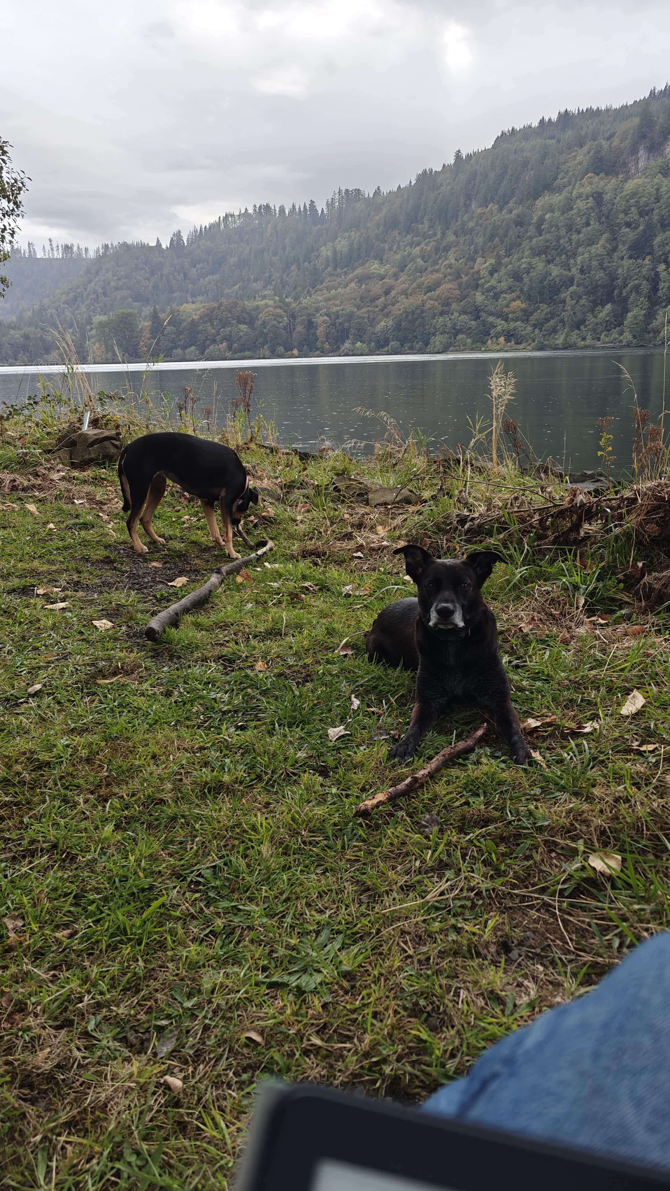 Columbia River Camping