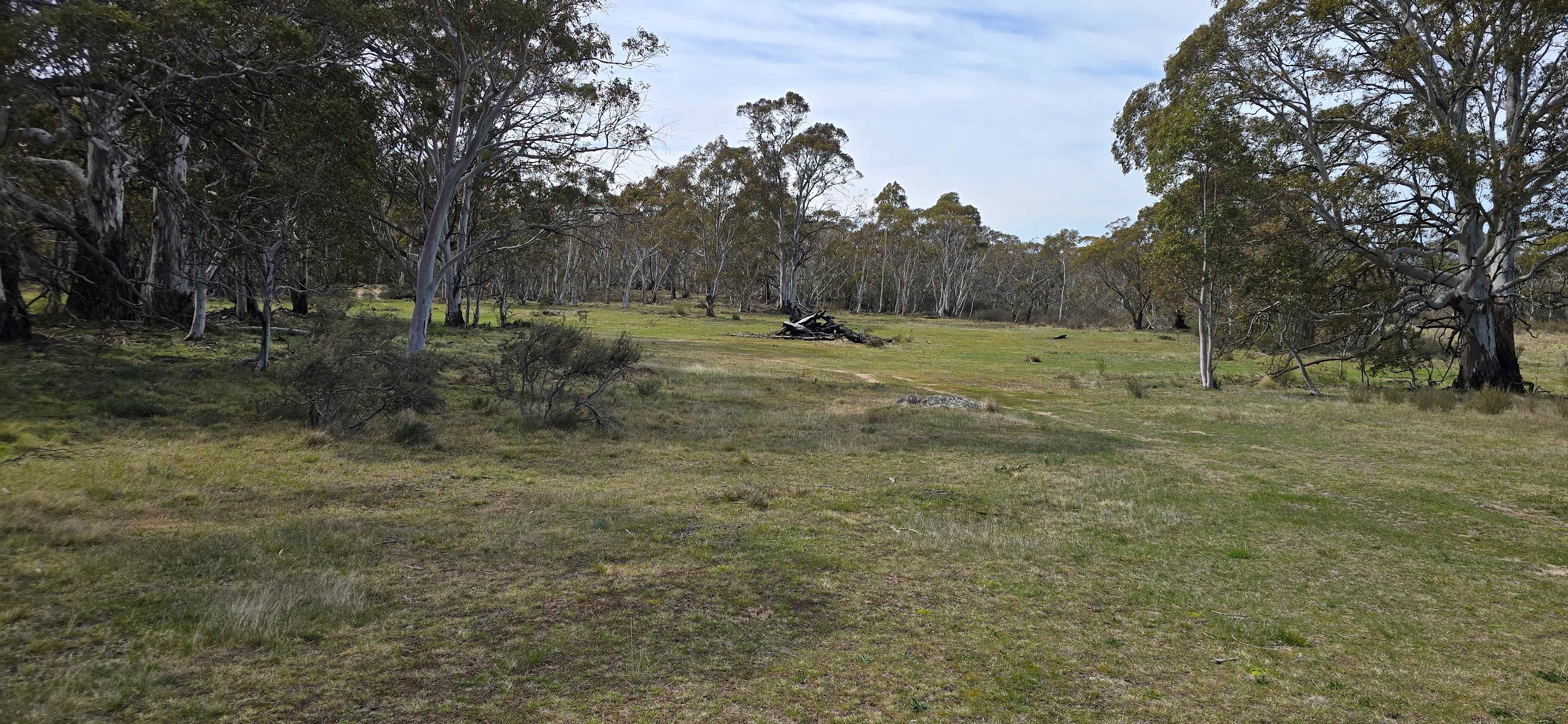 large grassy area near toilet