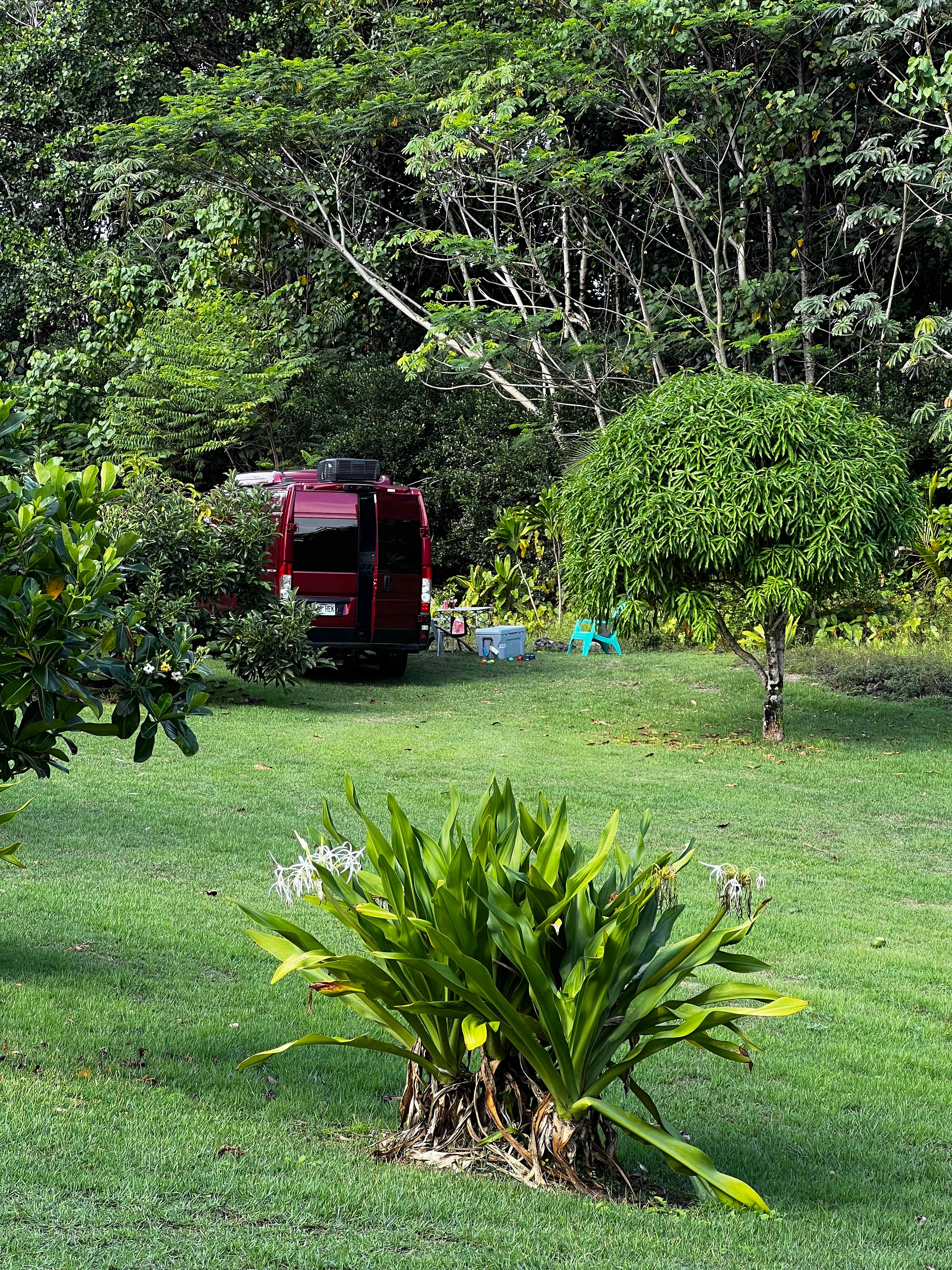 Lush campgrounds with plenty of space for privacy