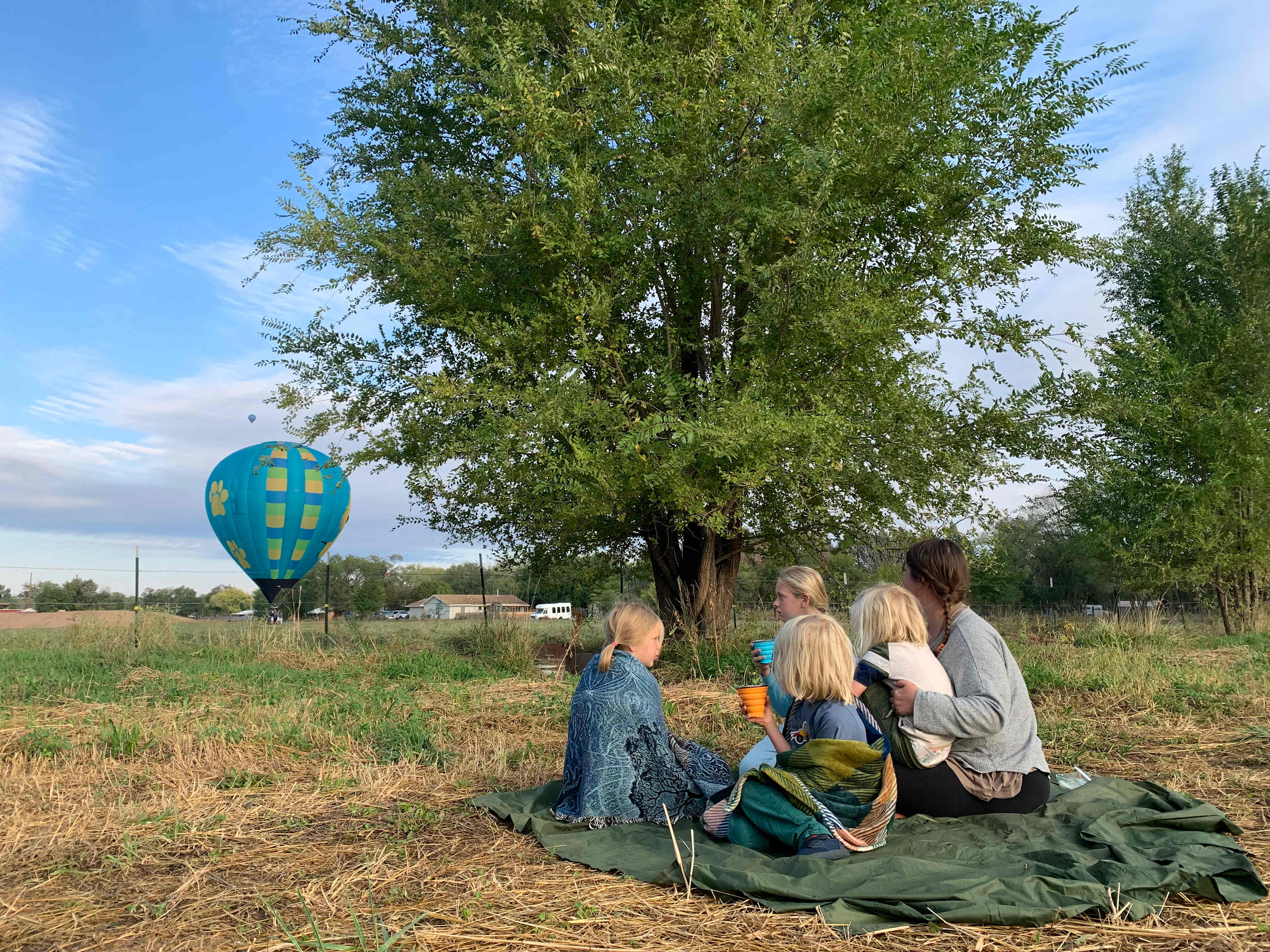 Balloon Fiesta Farm Oasis 2