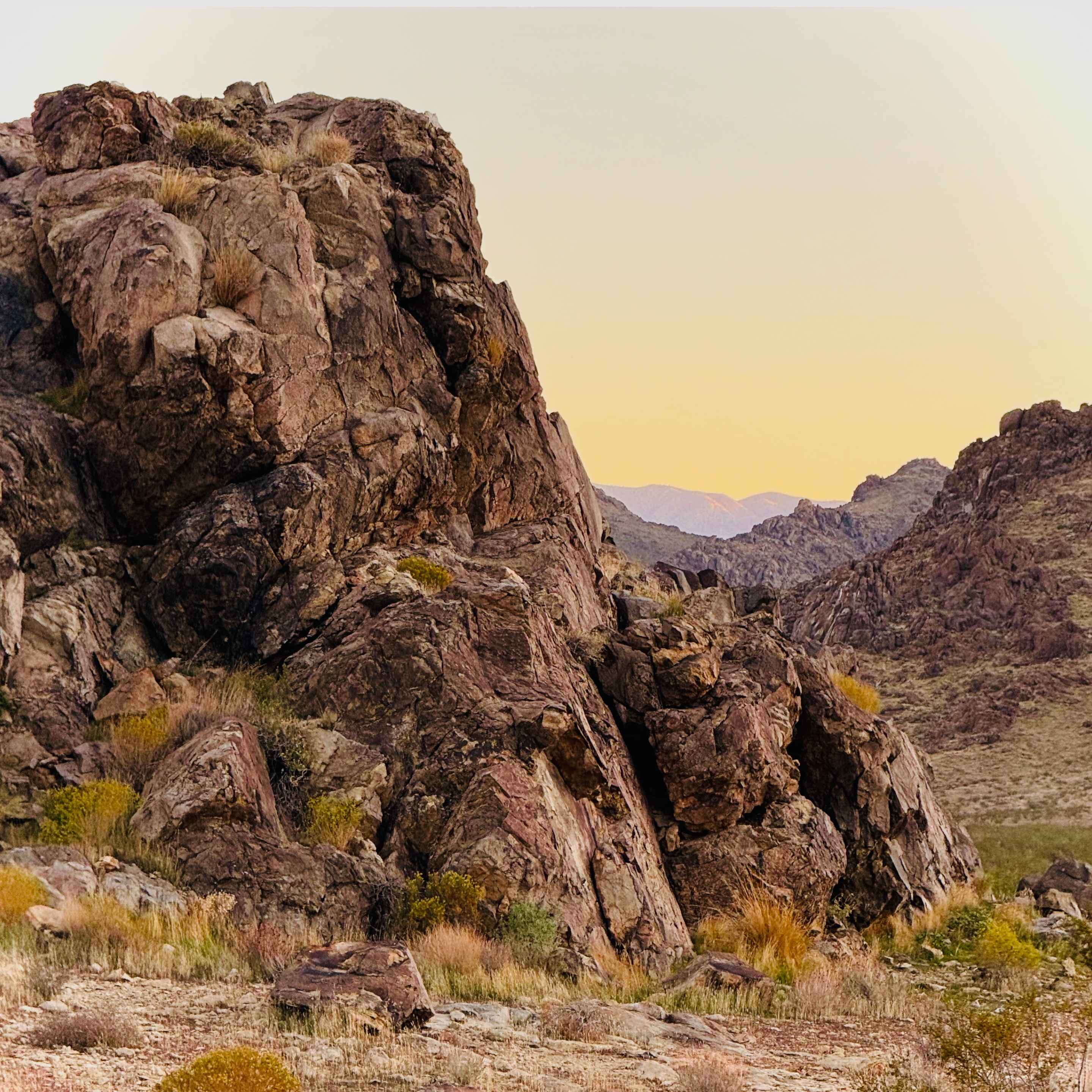 Mojave Moonlight Camping