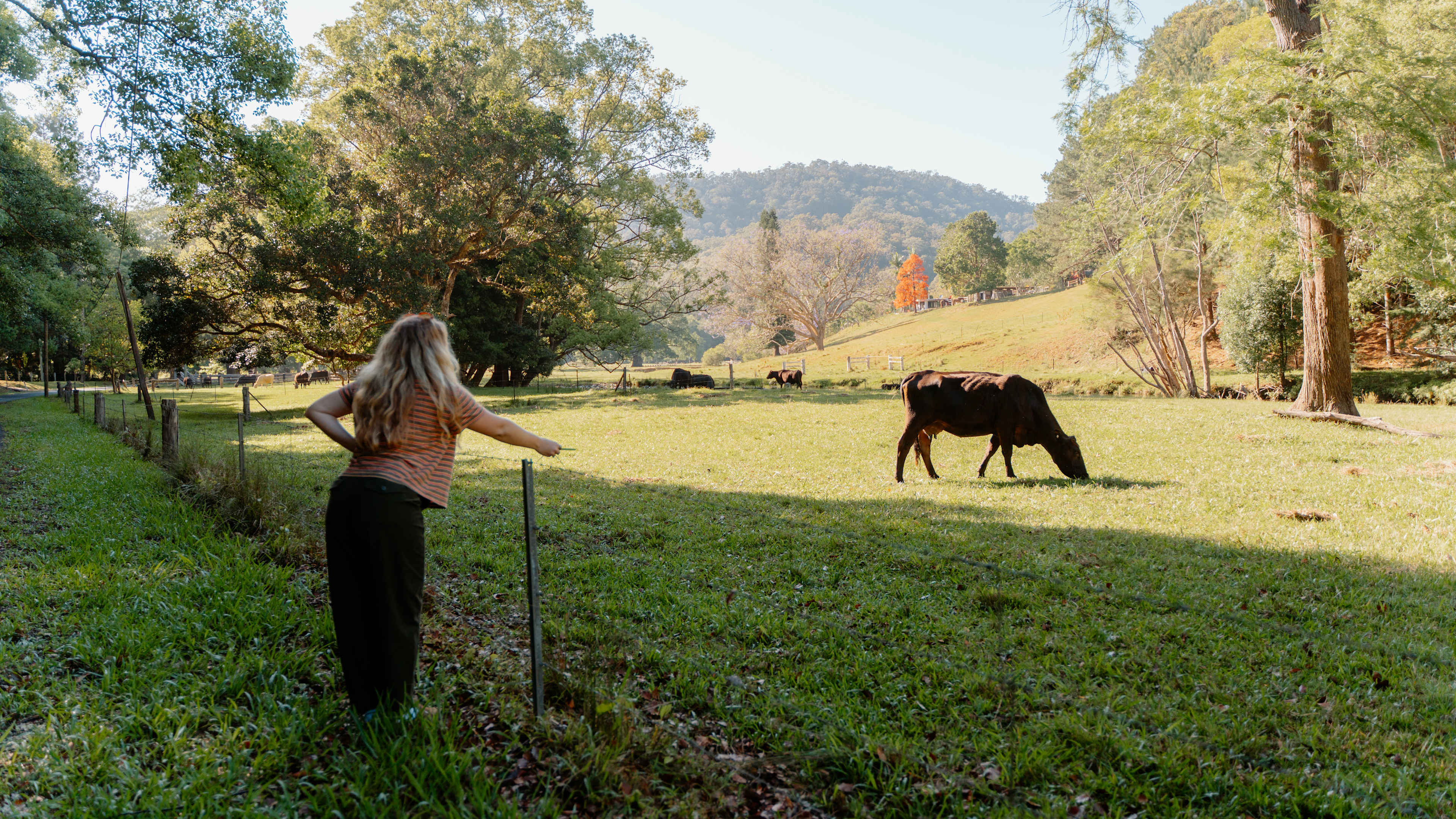 Crystal Creek Rainforest Treehouse