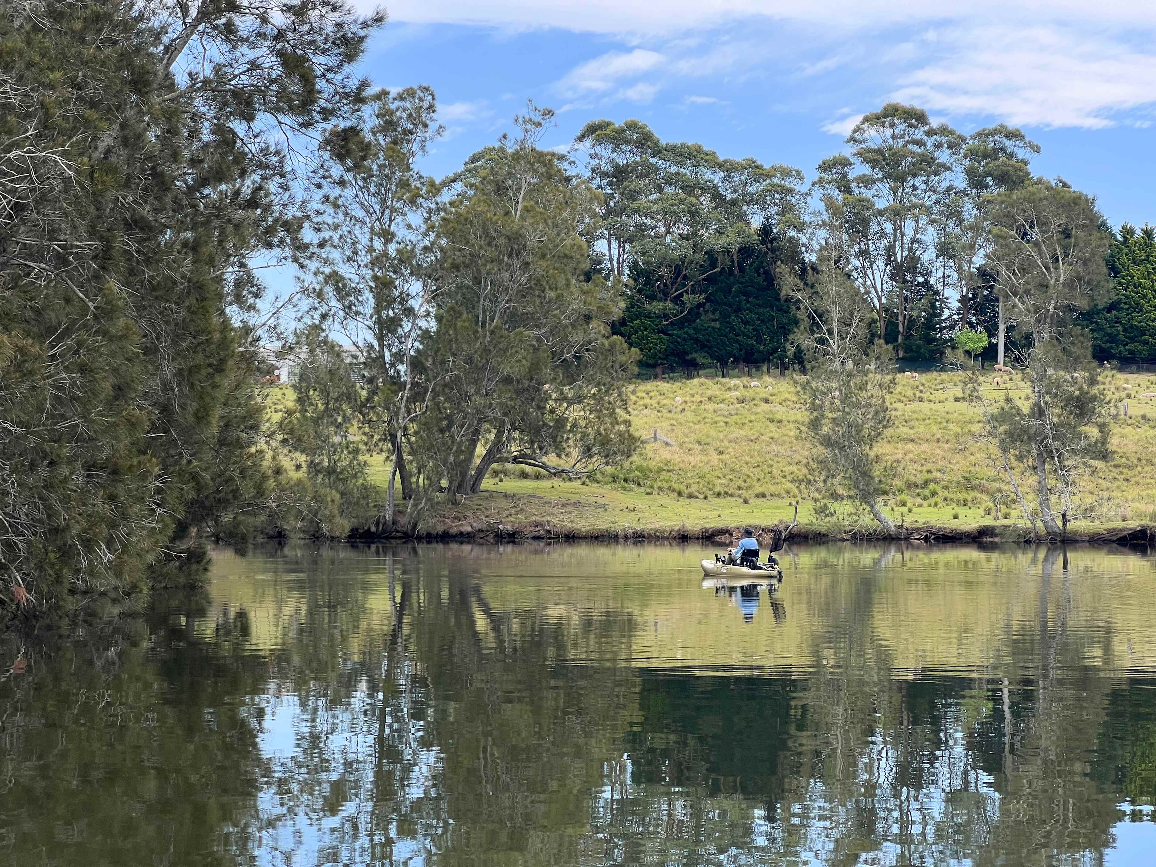 Mogo Creek Homestead - Mogo MTB