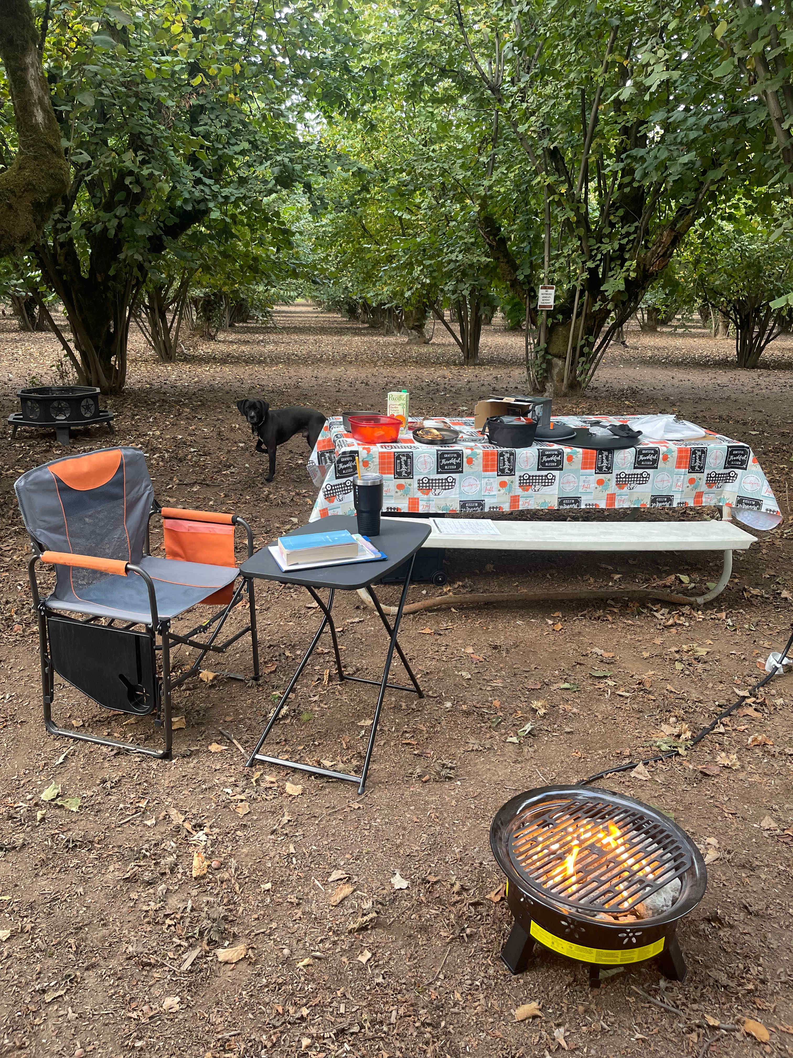 Tranquil Orchards and Wine Tours