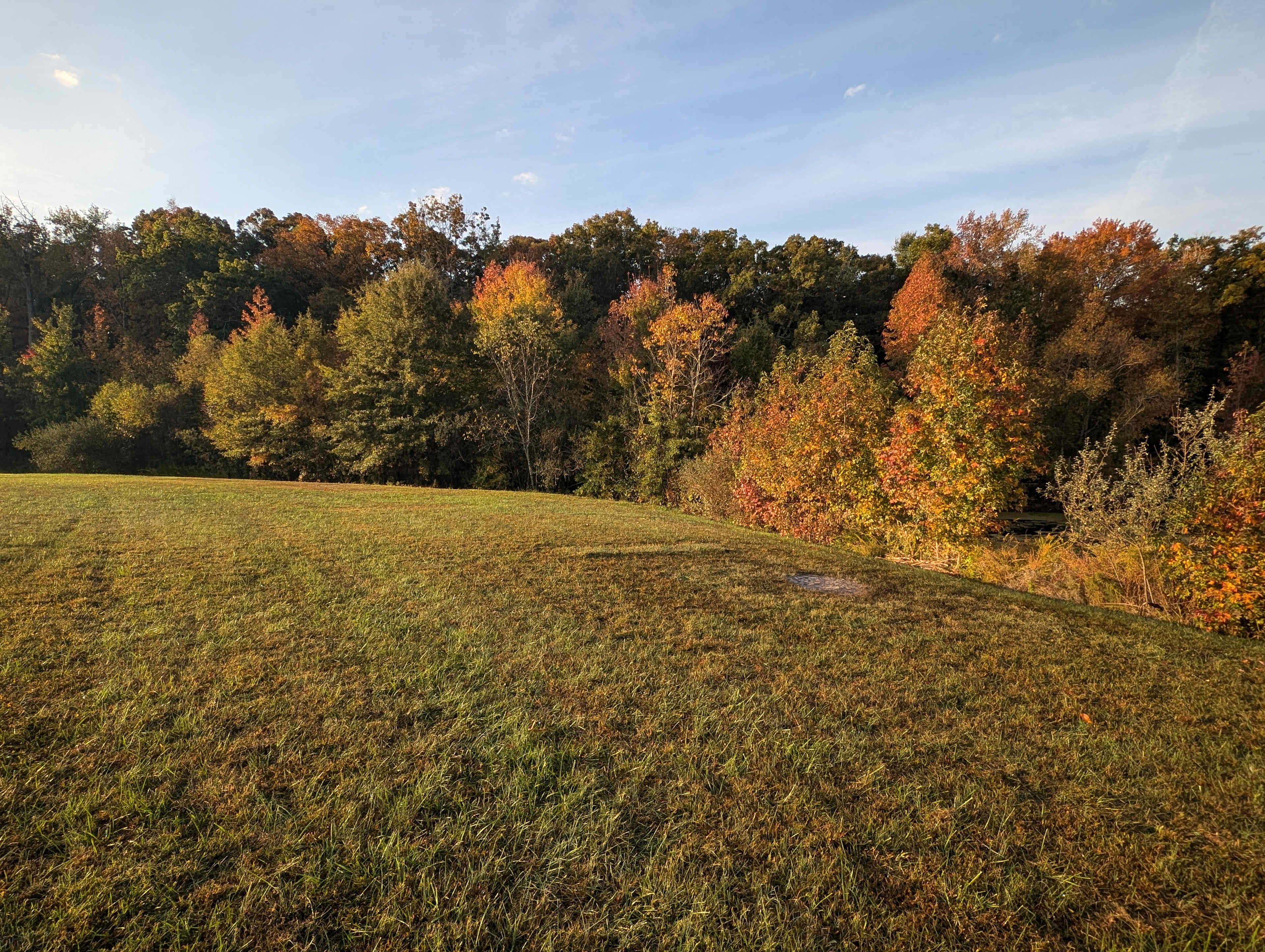 Burton Family Farm a place to relax