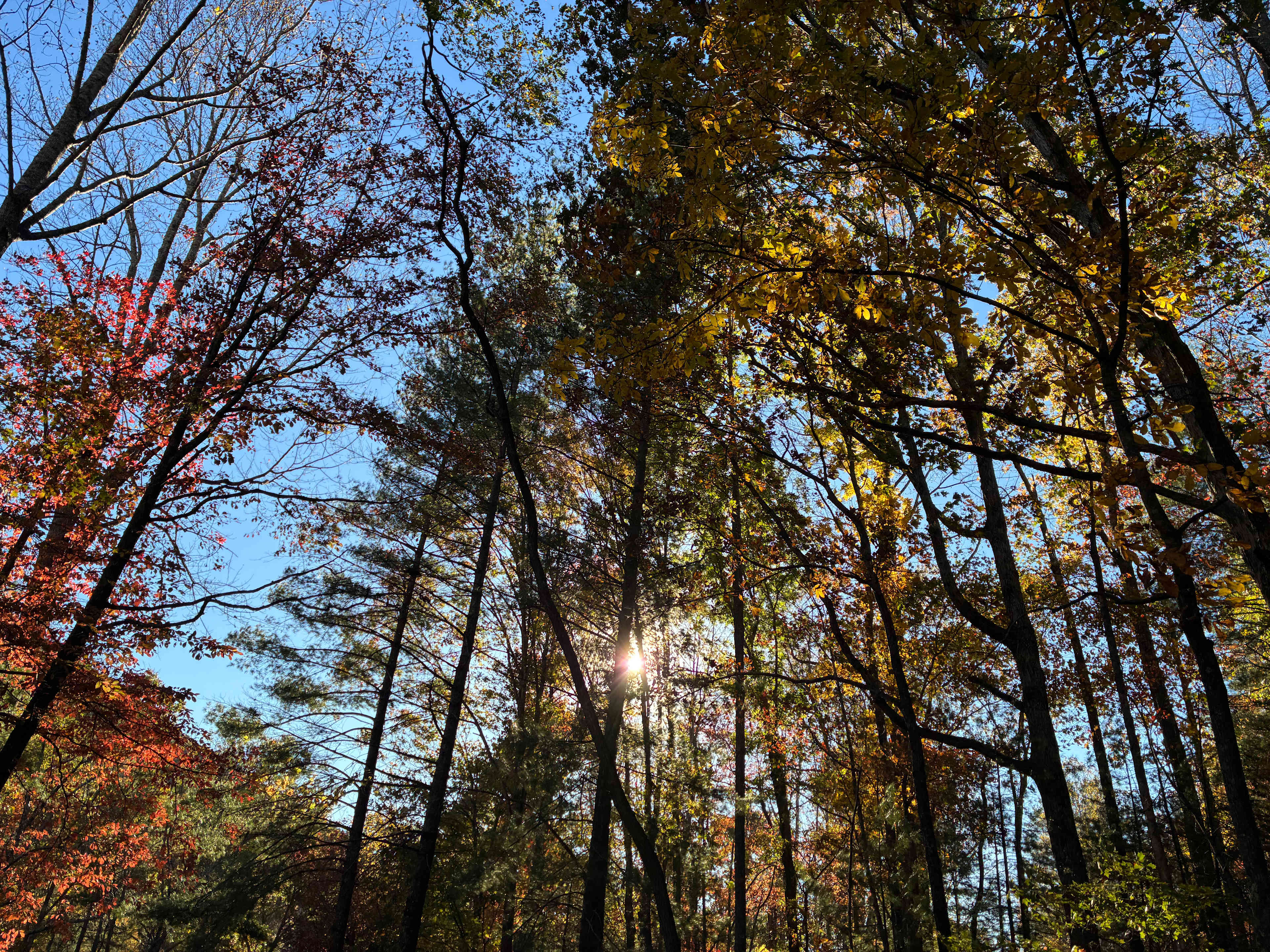 The Meadow At Stone Soup