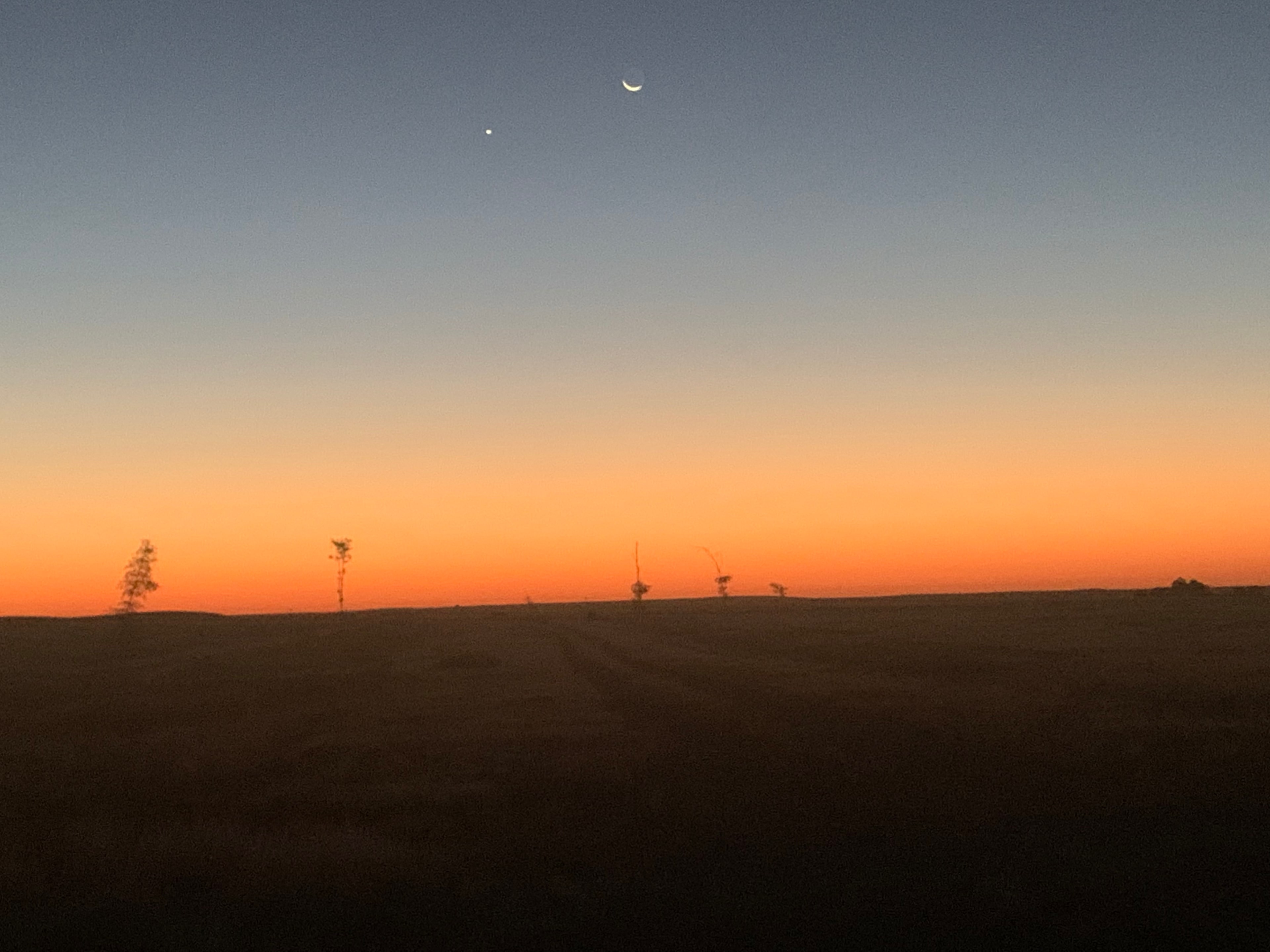 Dusty Rabbit Van Life