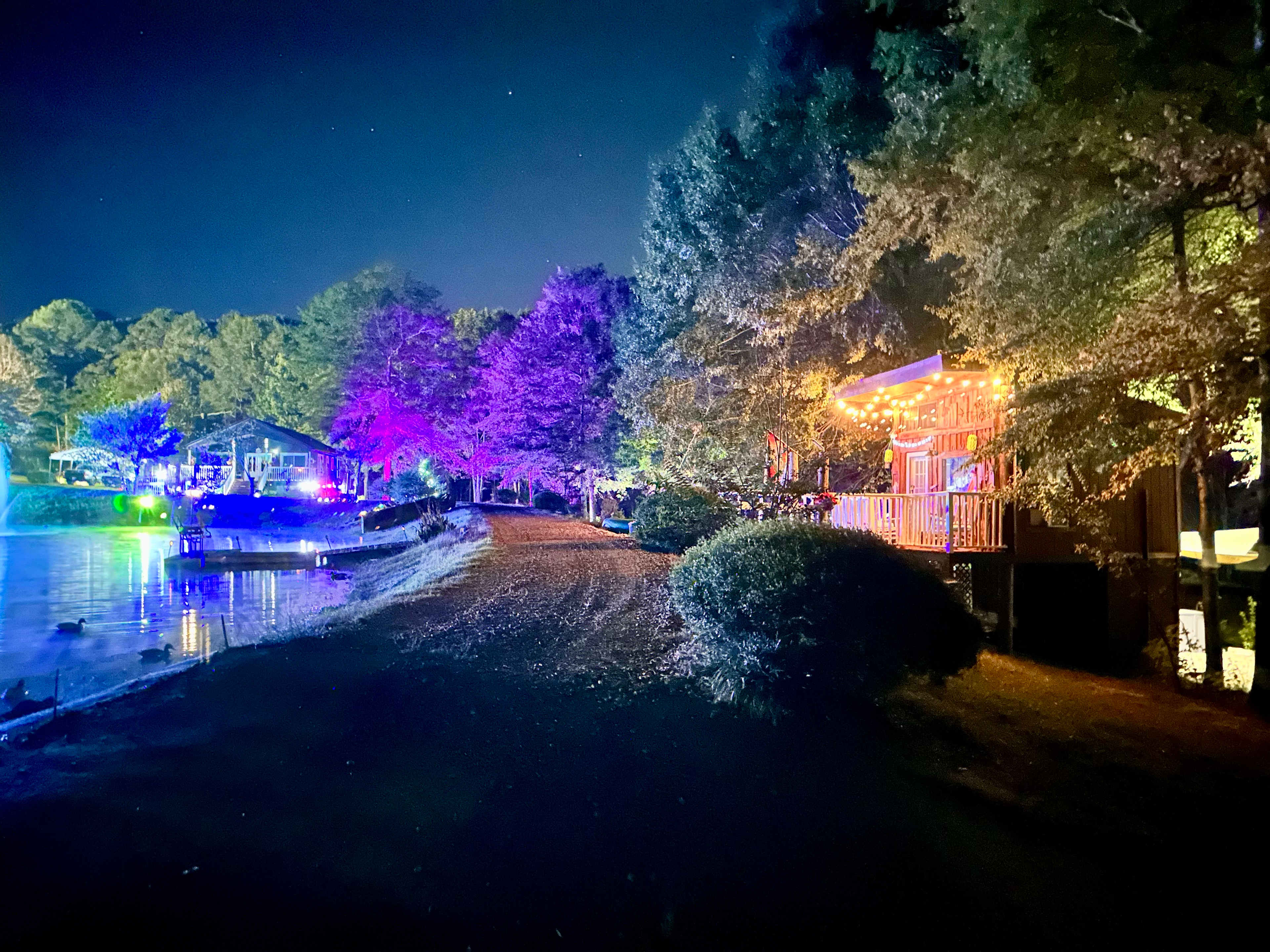 Pond on the left, tree house on the right 