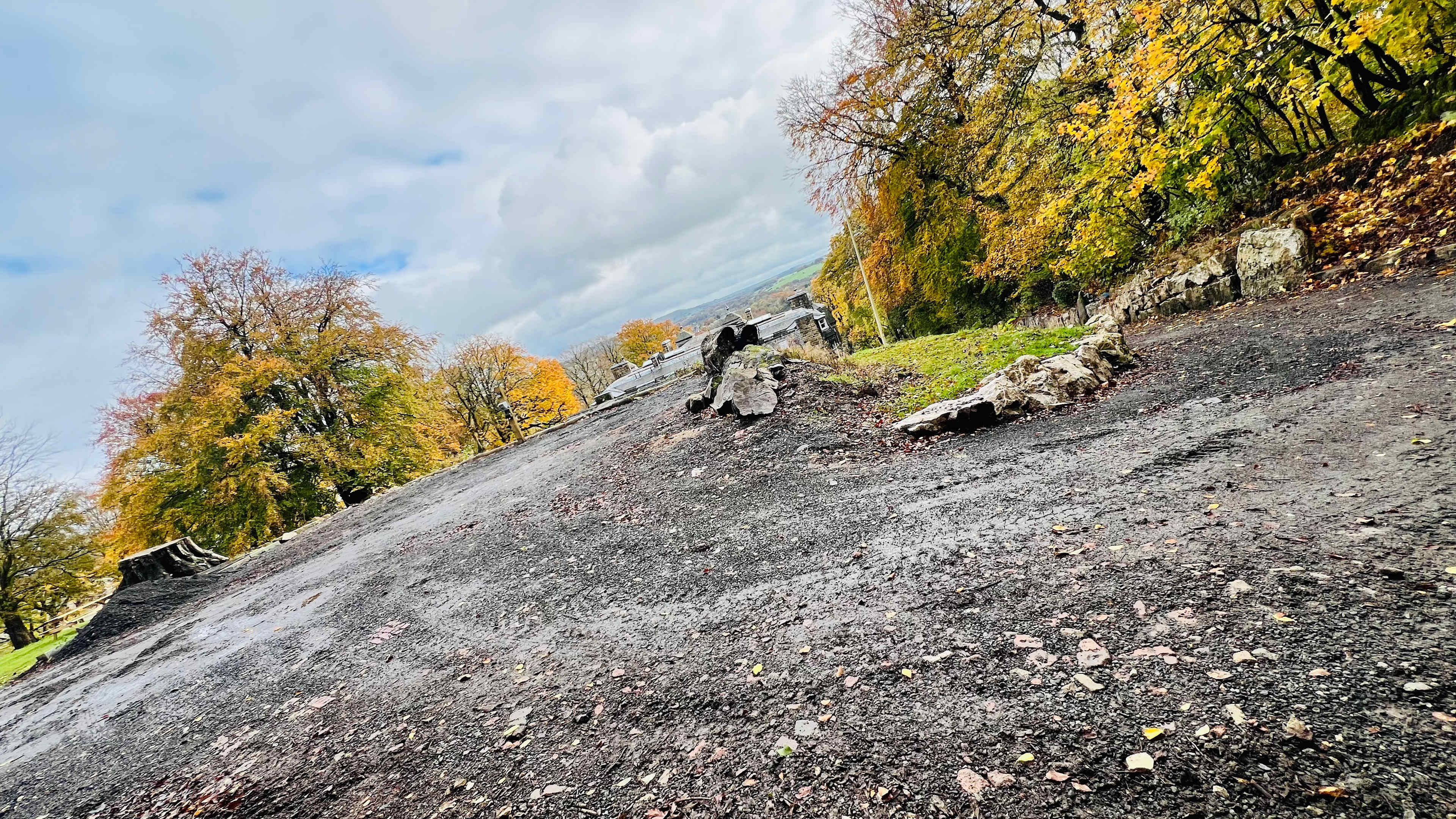 The Duchess's Meadow