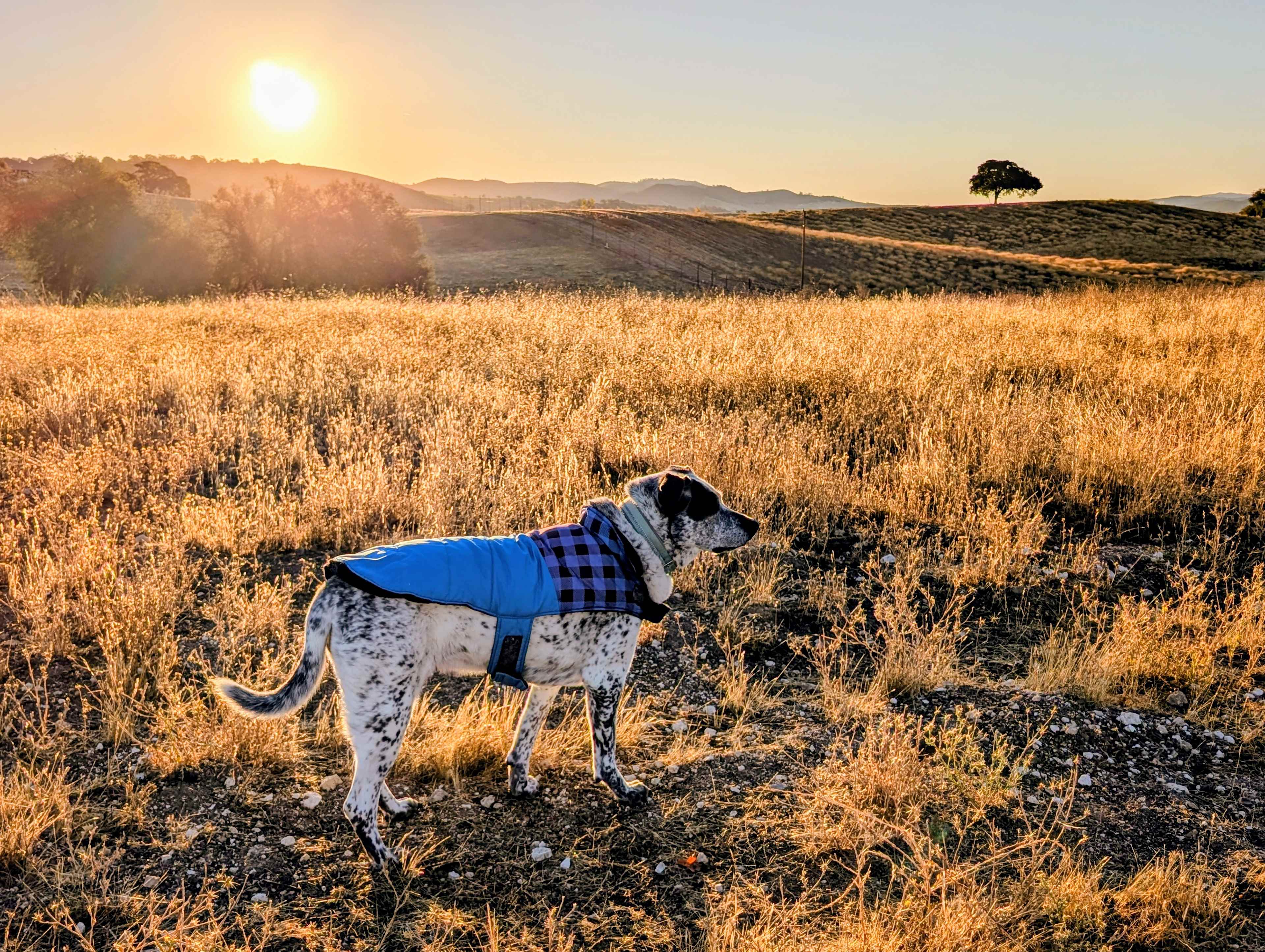 Road's End, Bradley Lockwood