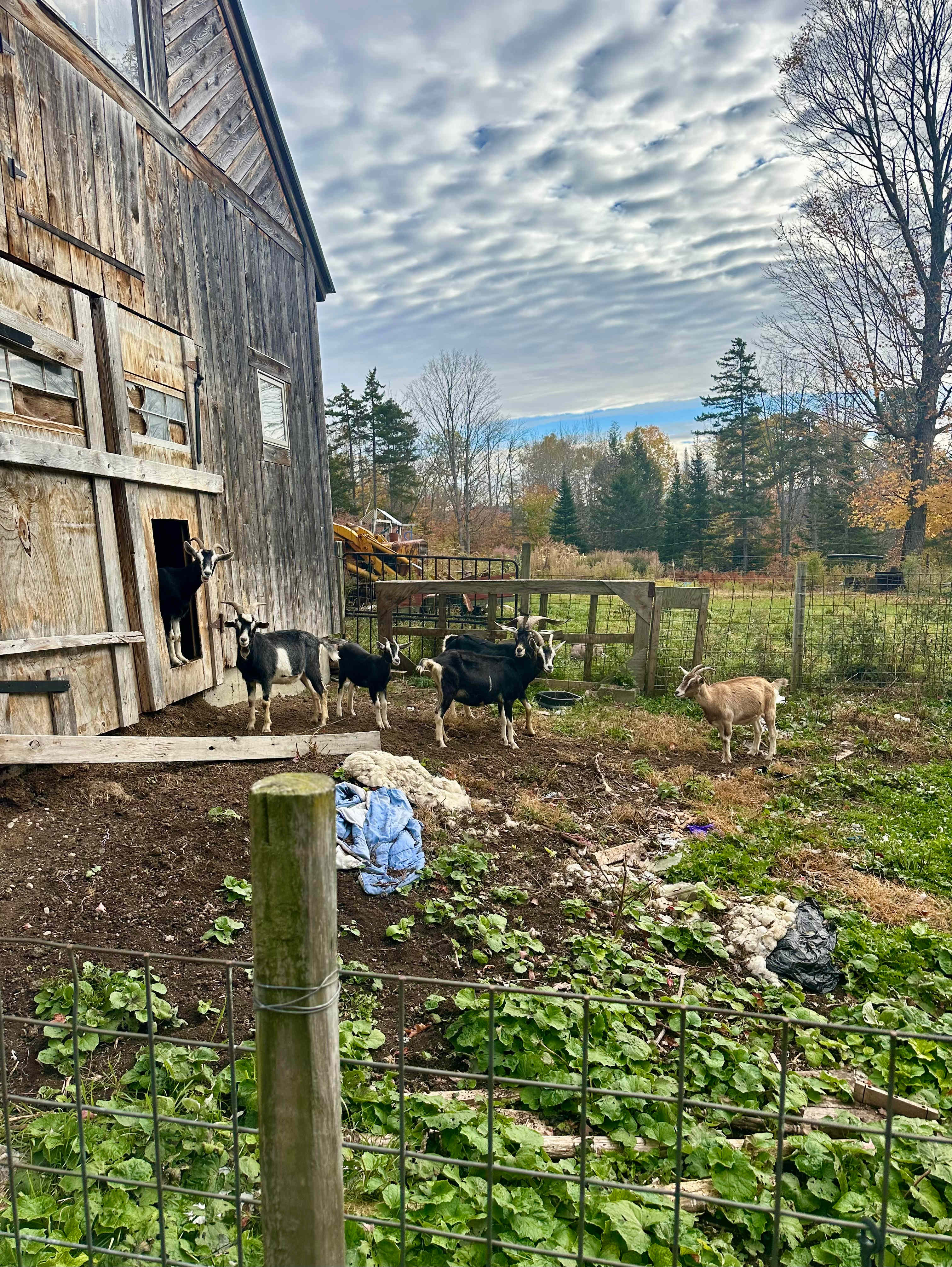 La Lu Farm camp site