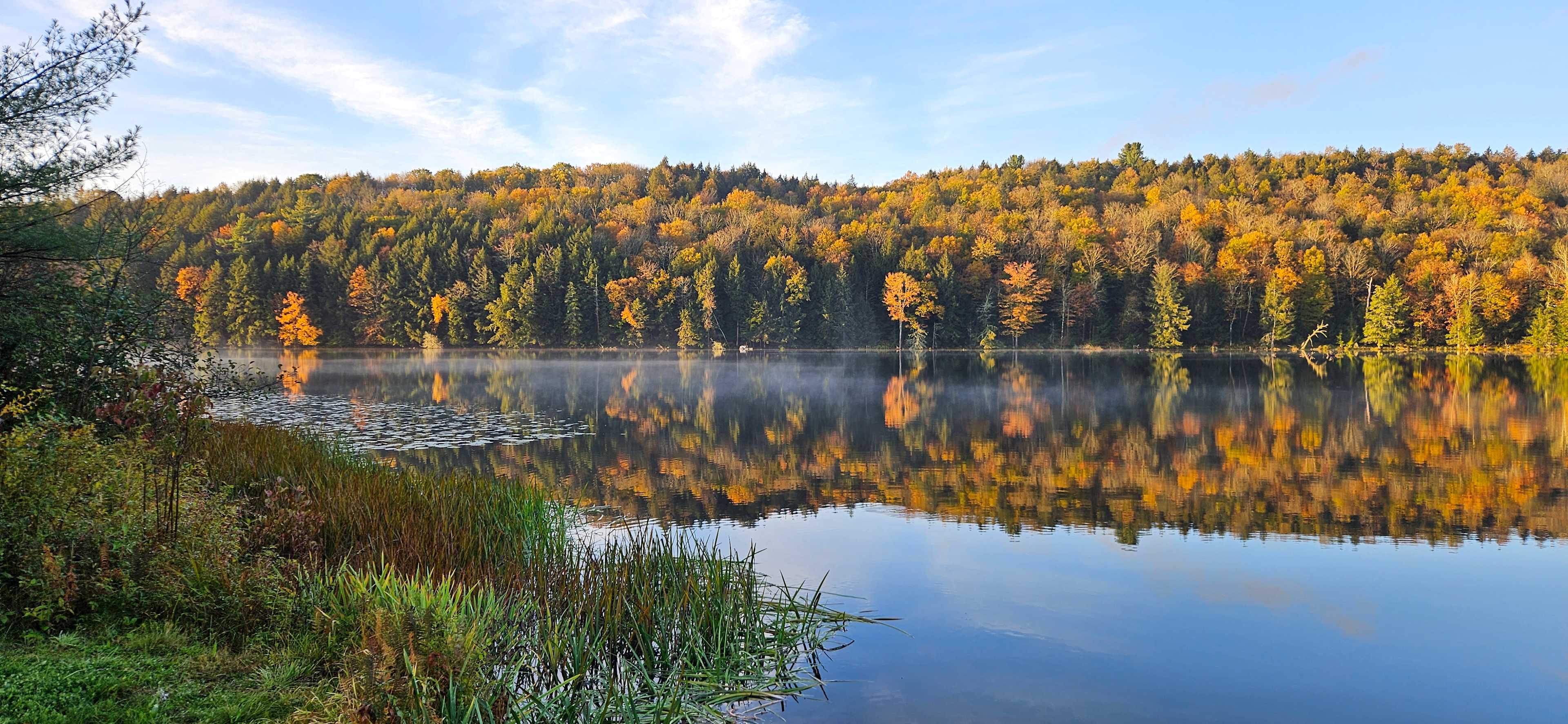 Lazy Paddle Cove at Stump Pond