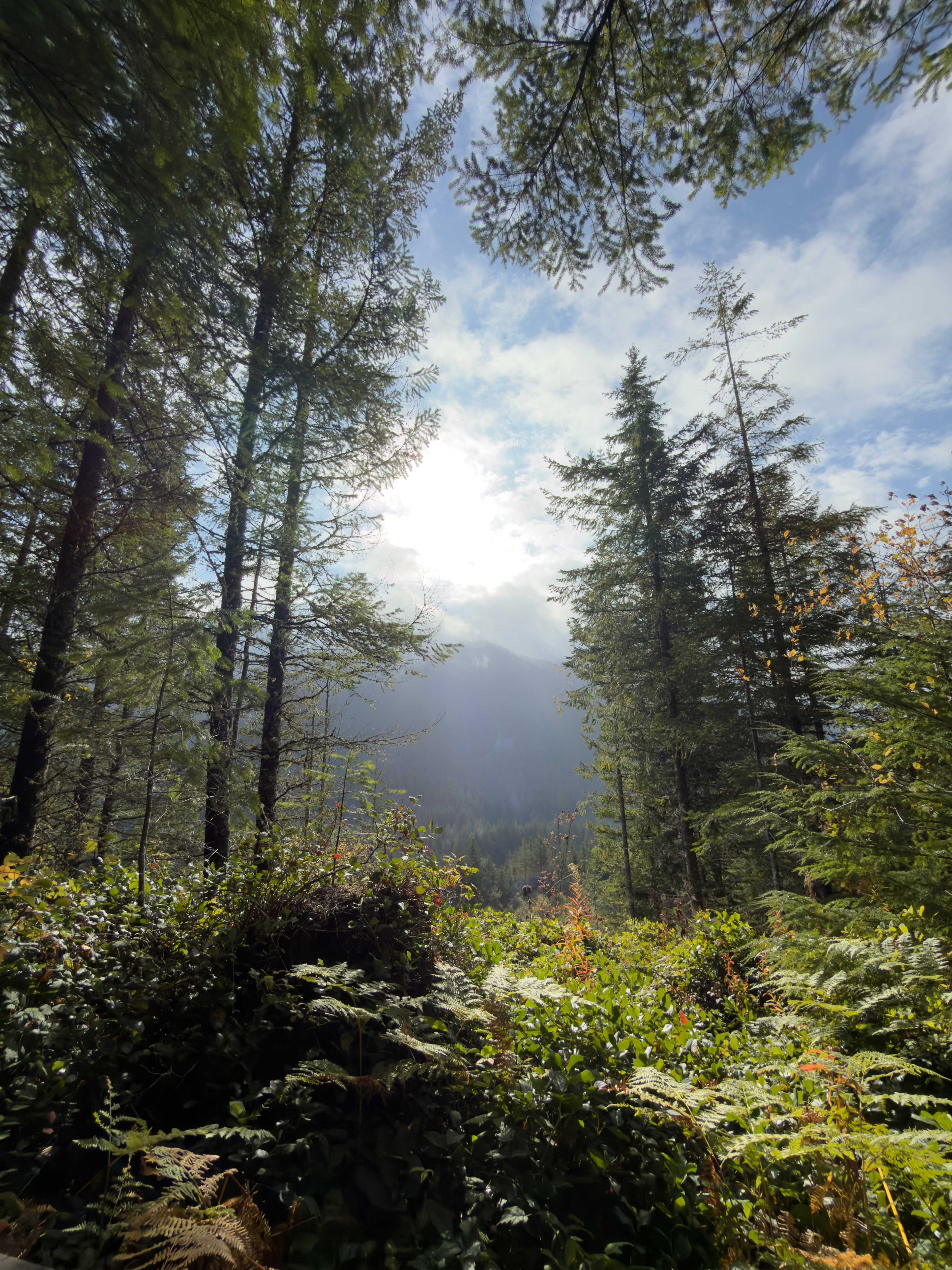 Secluded Ridgeline Retreat