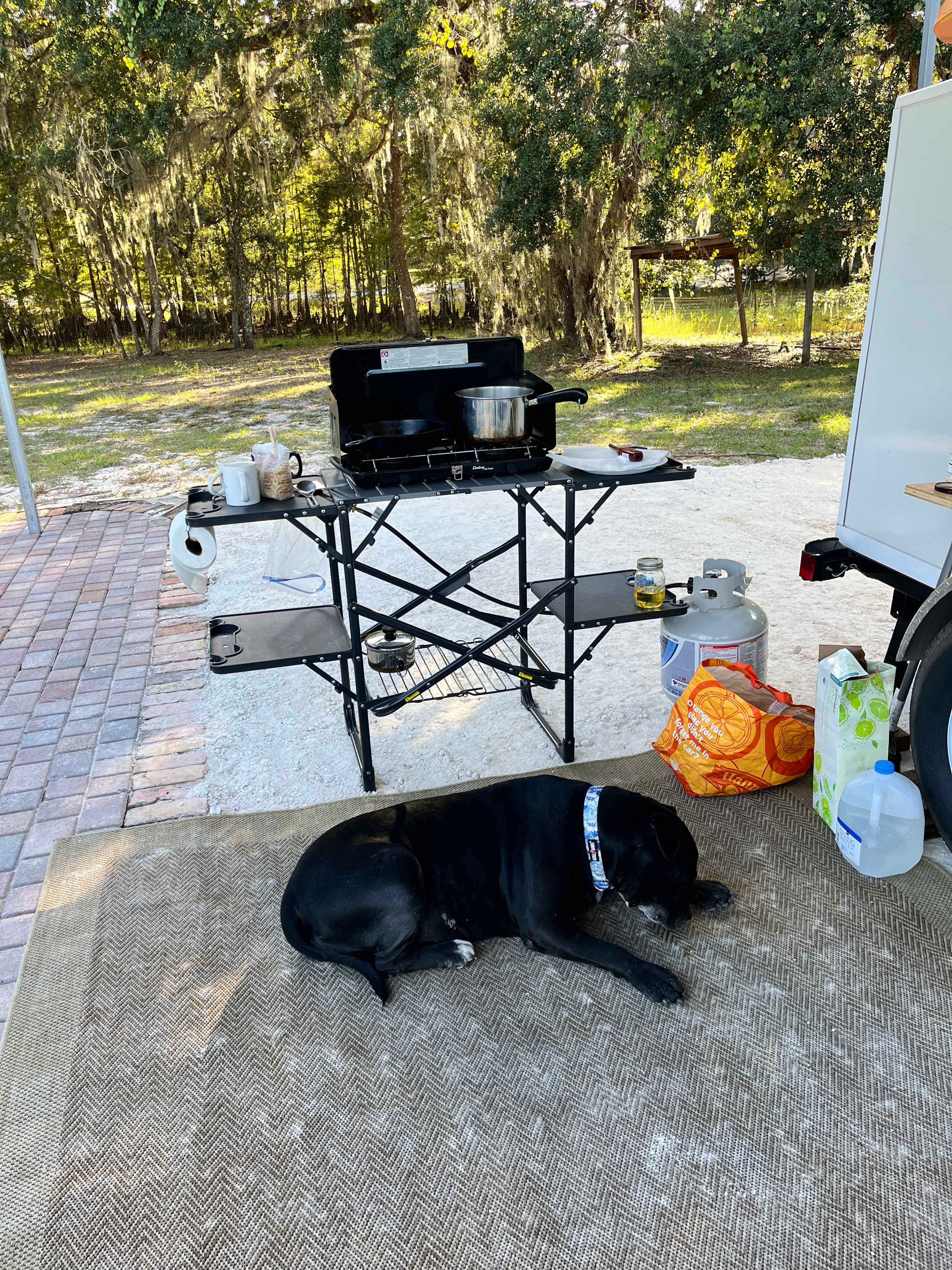 Caney our friendly companion.