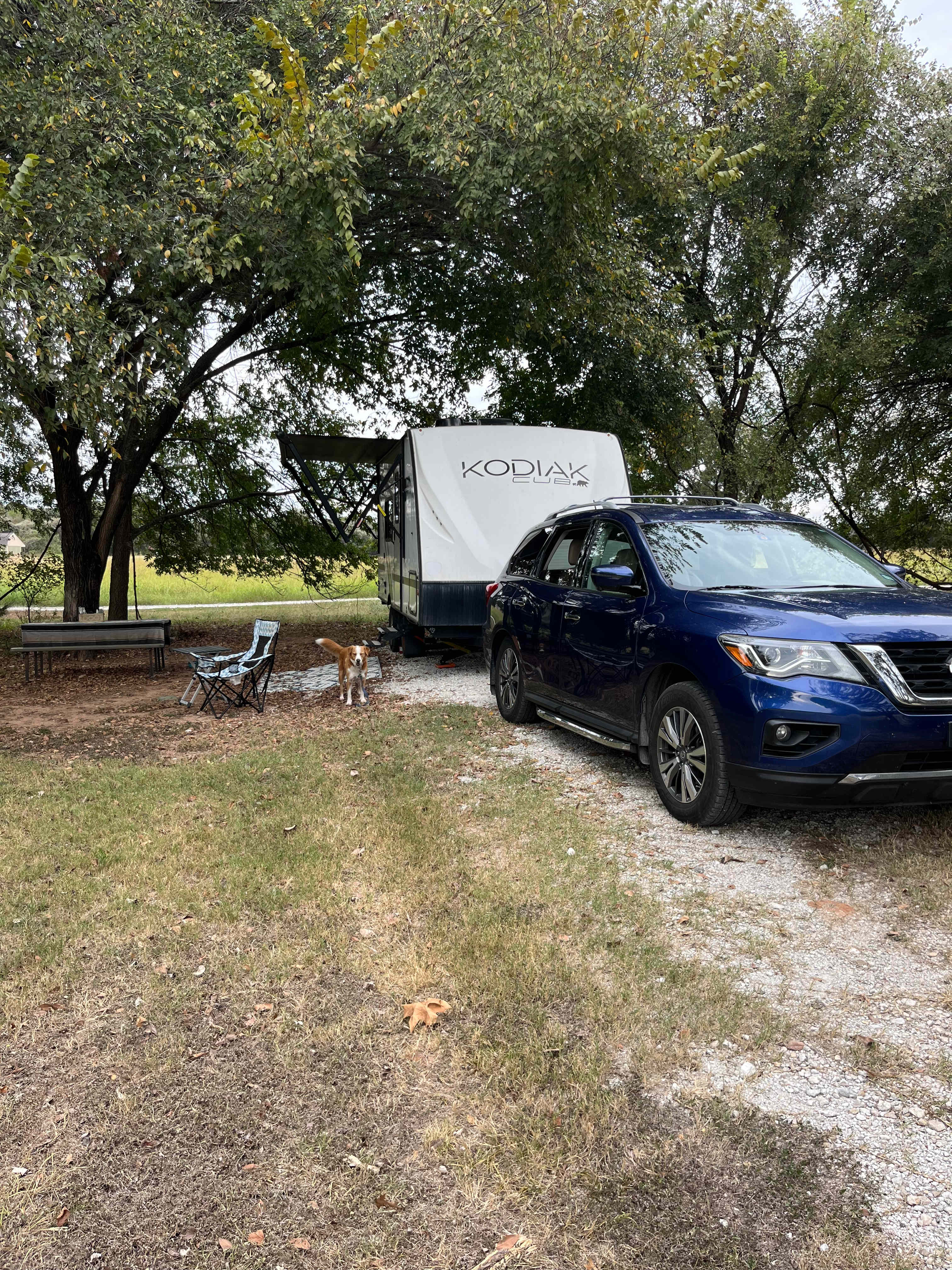 My Cub is only 21 ft, but deep sites for big rigs. Fairly level with shade. 