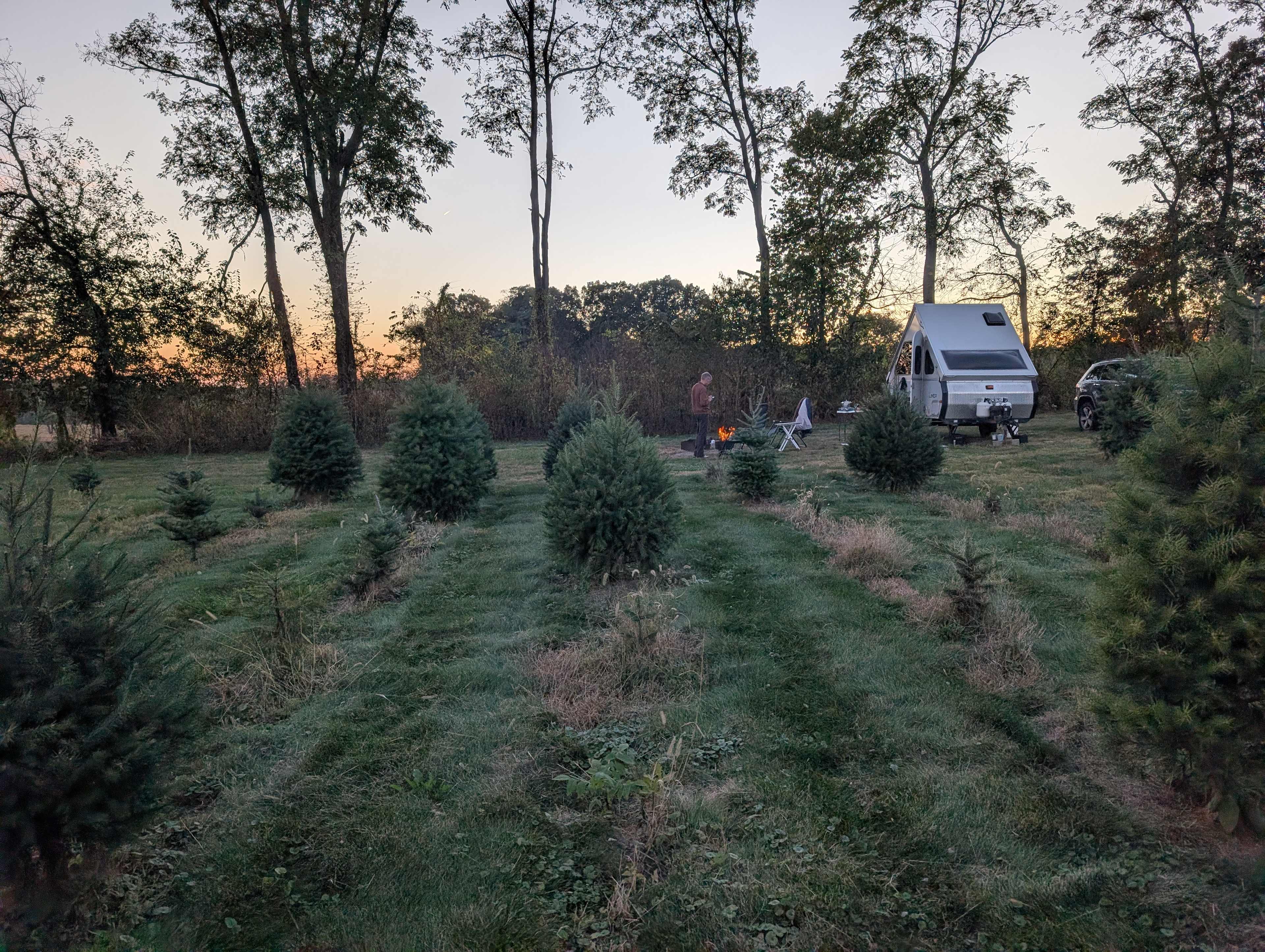 Golden hour through the trees.