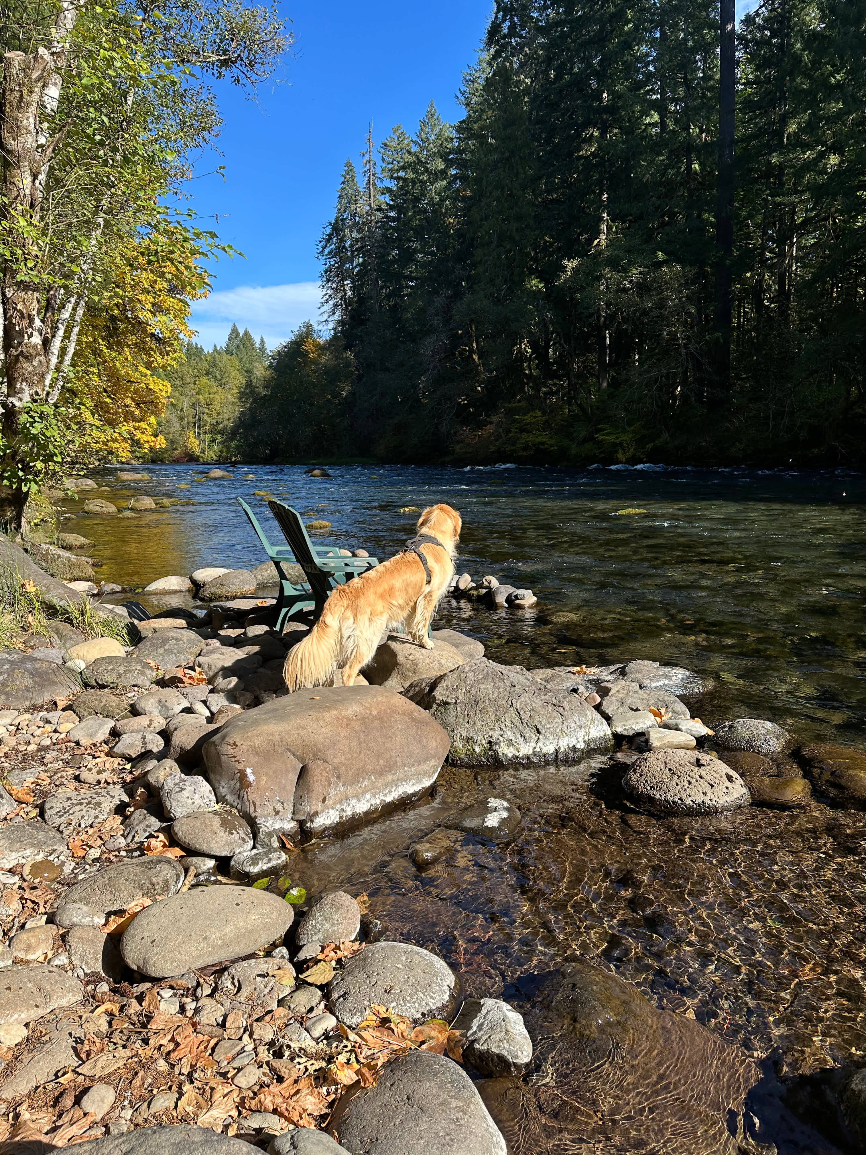 Upriver Paradise "Private Retreat"