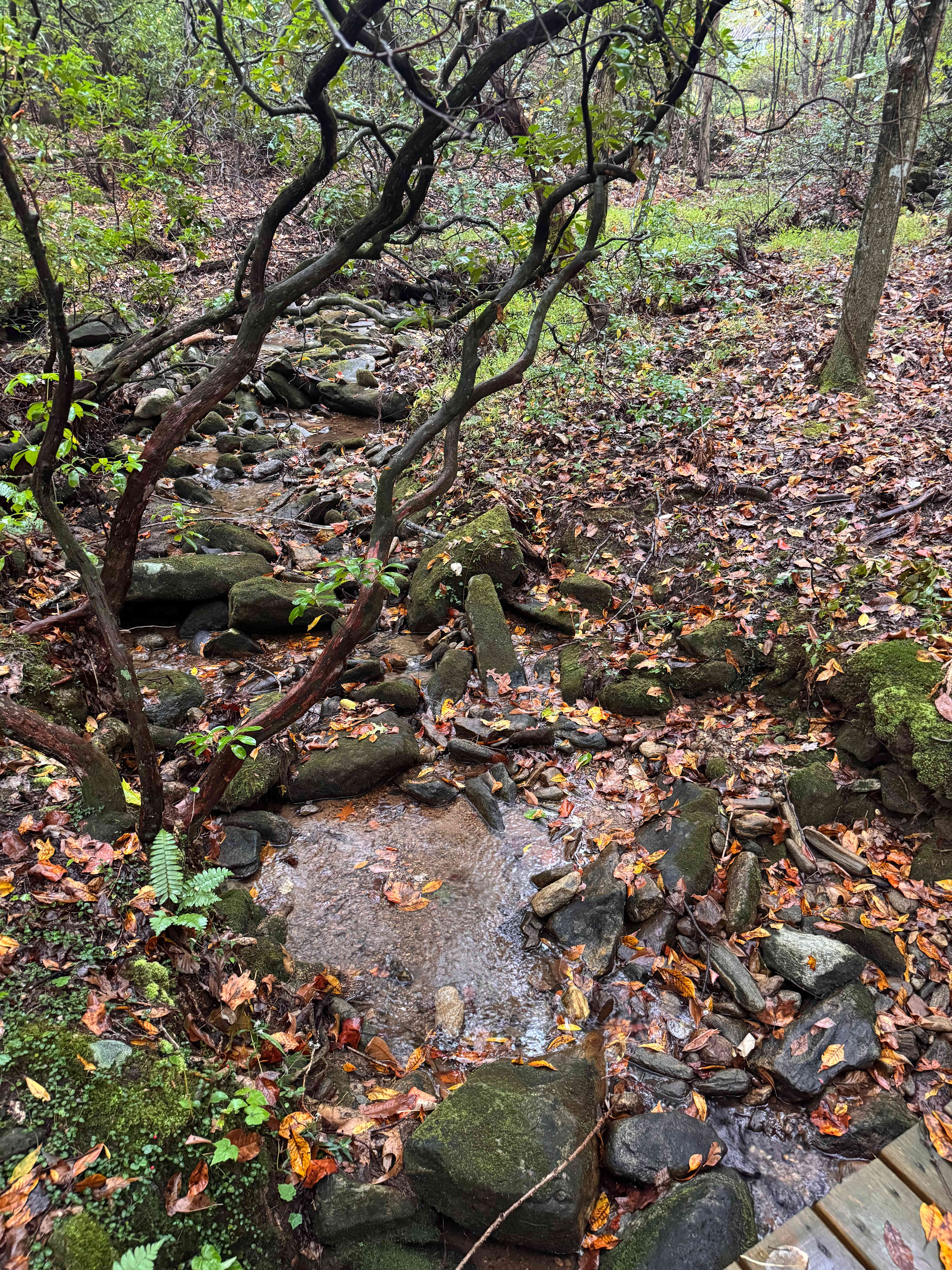 Herzen Platz (a place in the Heart)