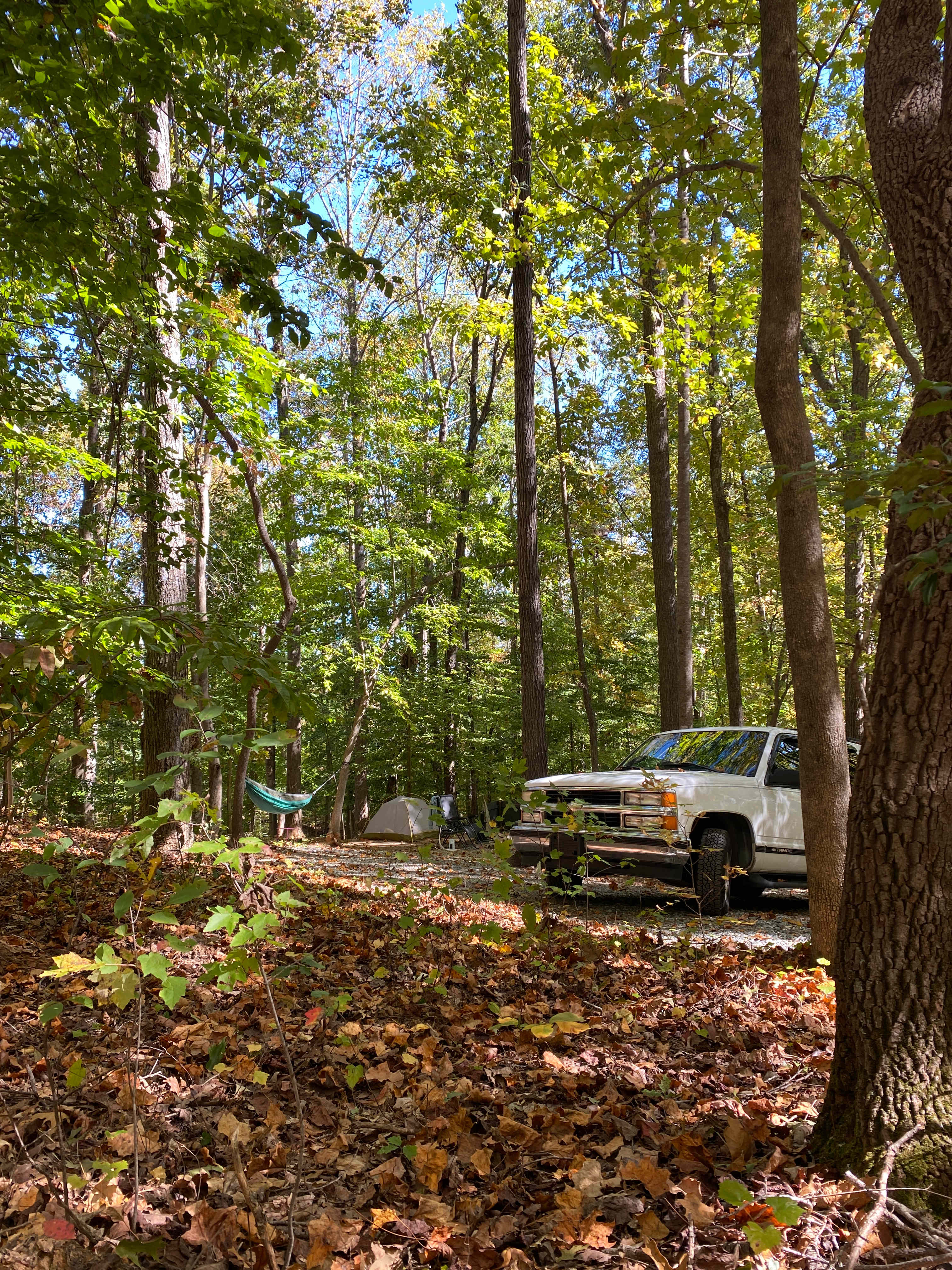 Hidden Oasis At High Rock Lake