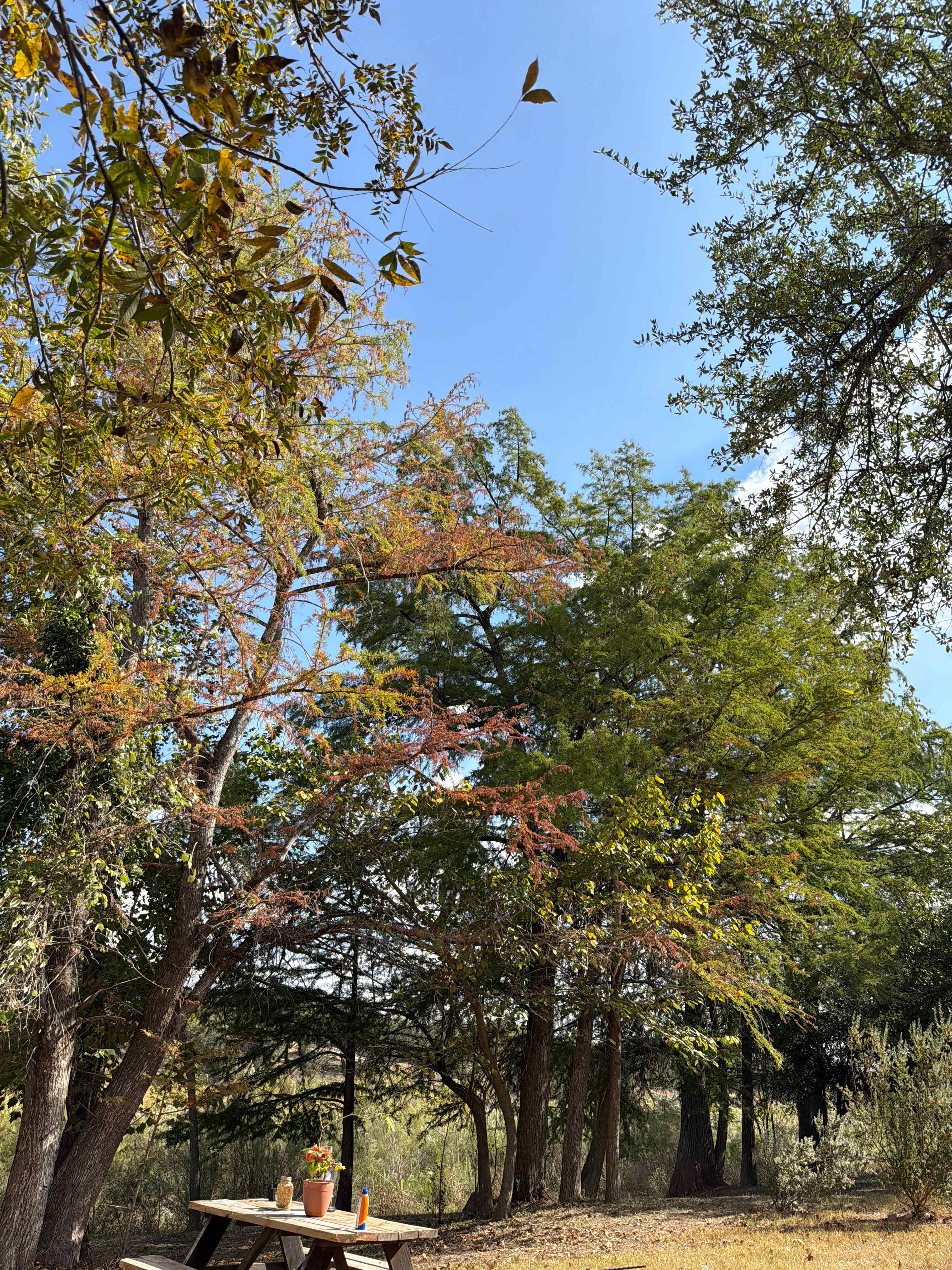 Boulderdash Cabin & Camping