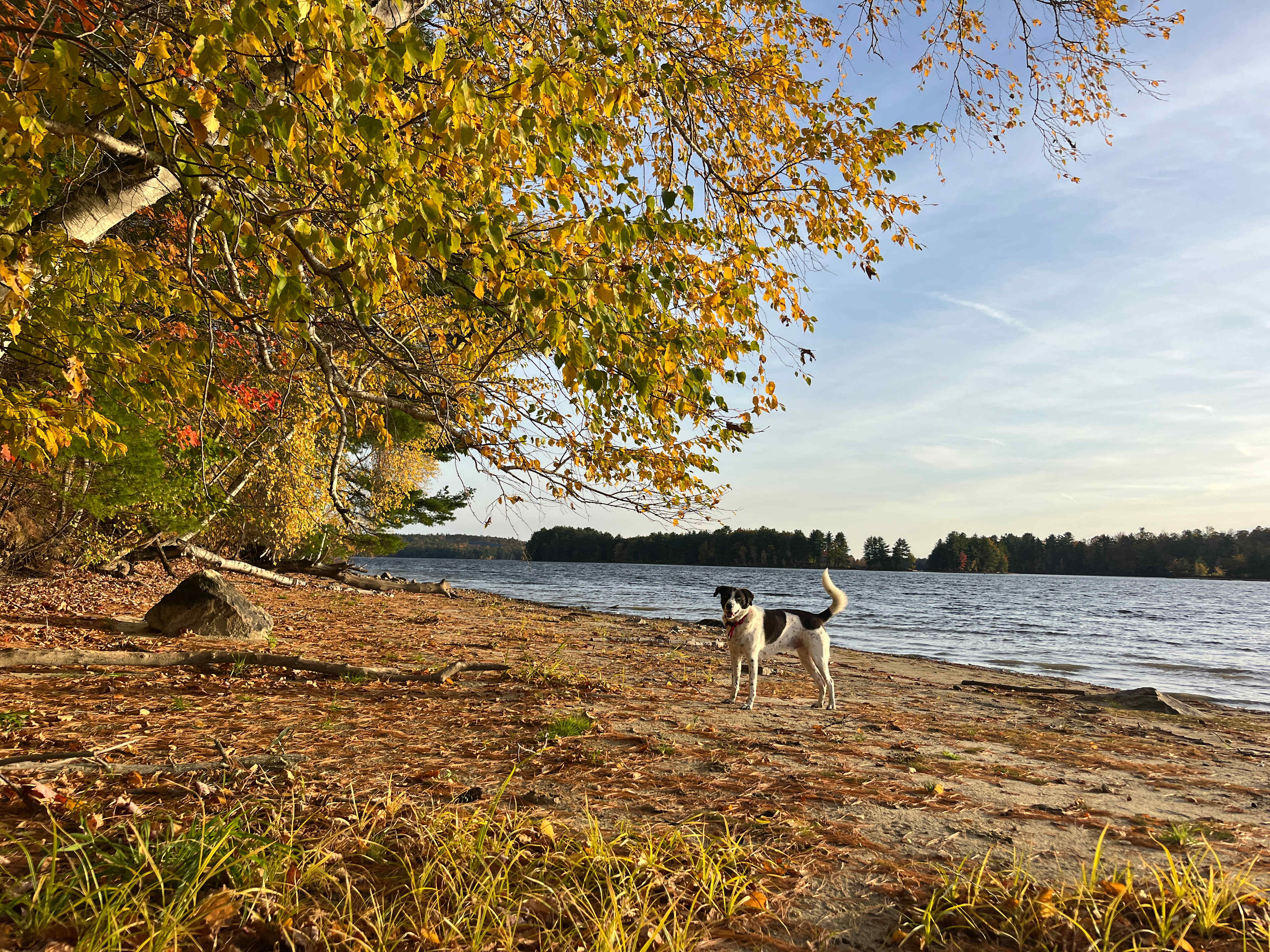 Slippery Rock Trails LLC
