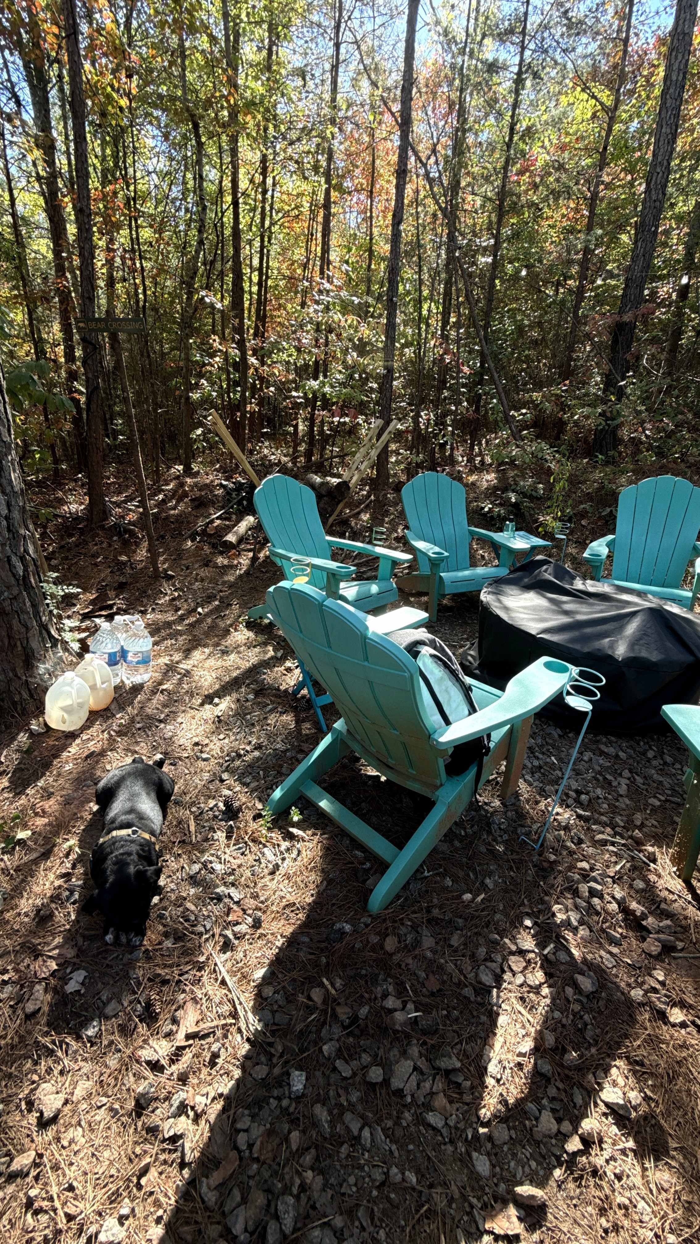 Bear's Woods at Camp Creek