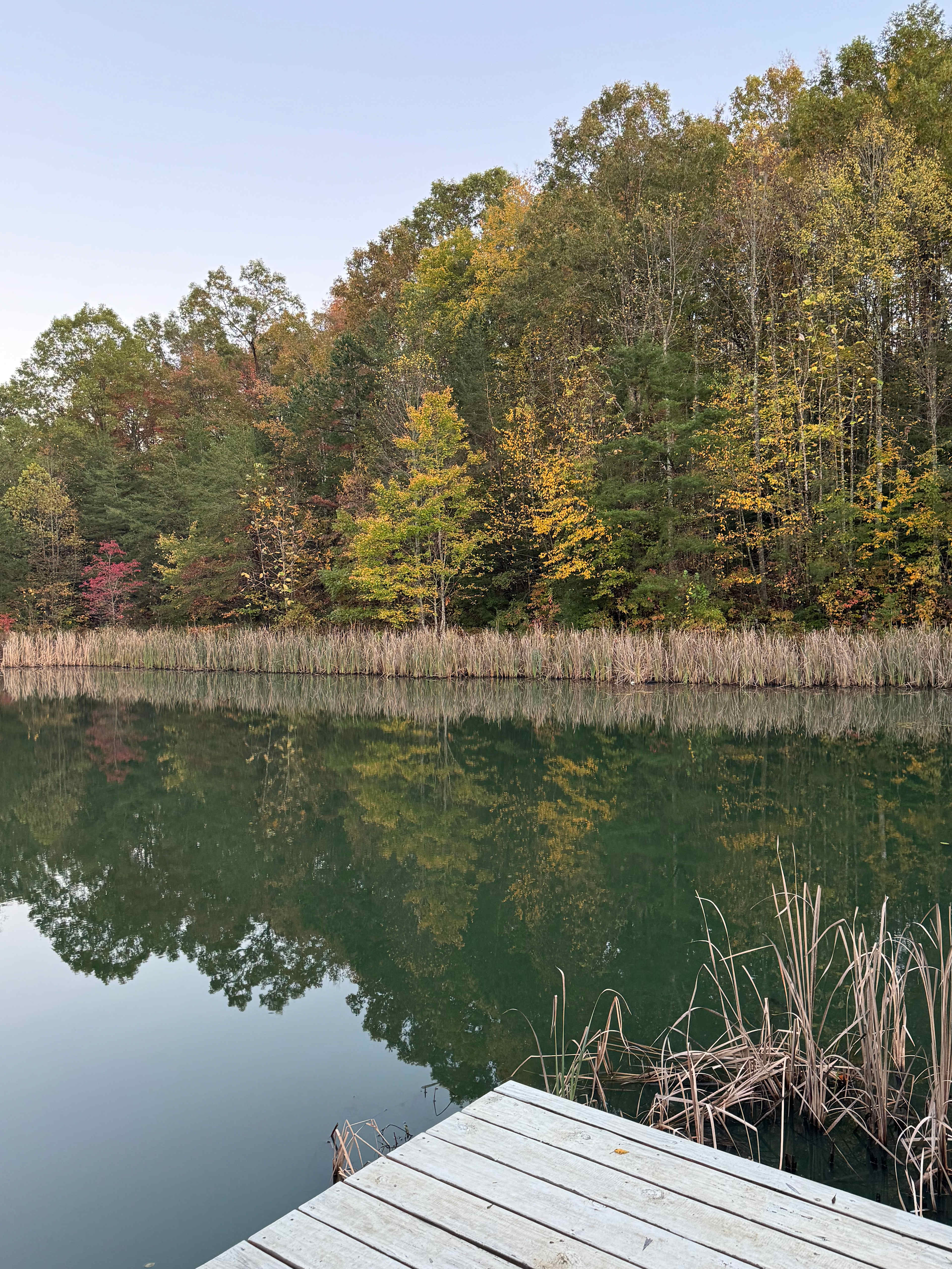 The Harrican Lakehouse