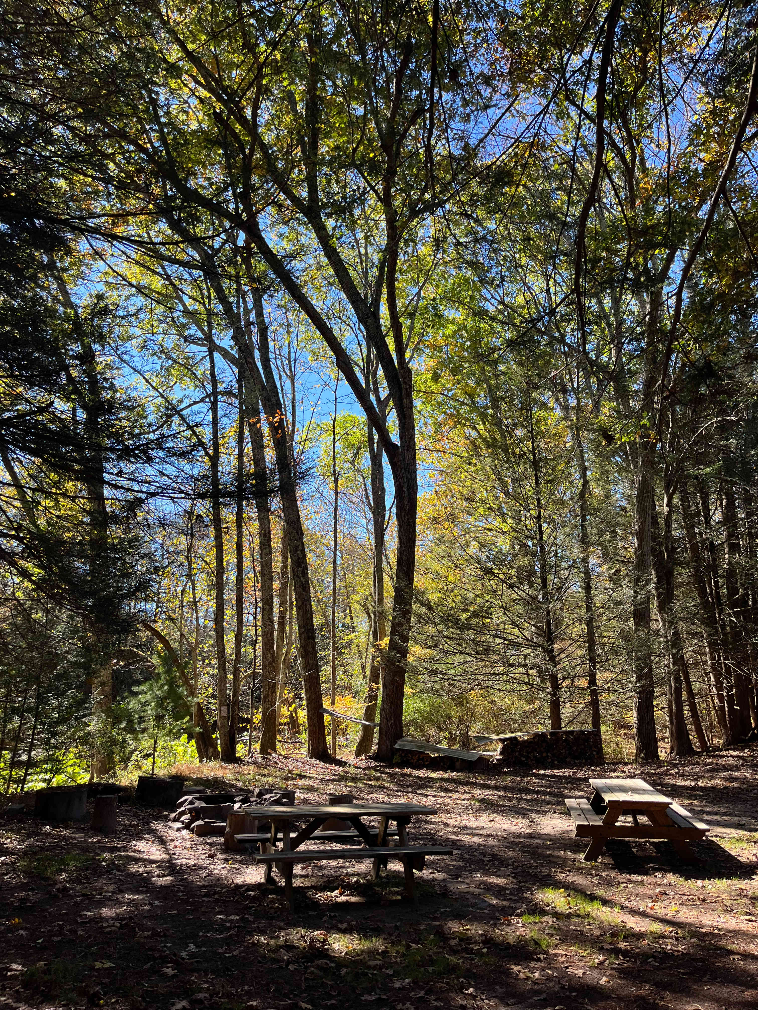 Forks Farm Campground