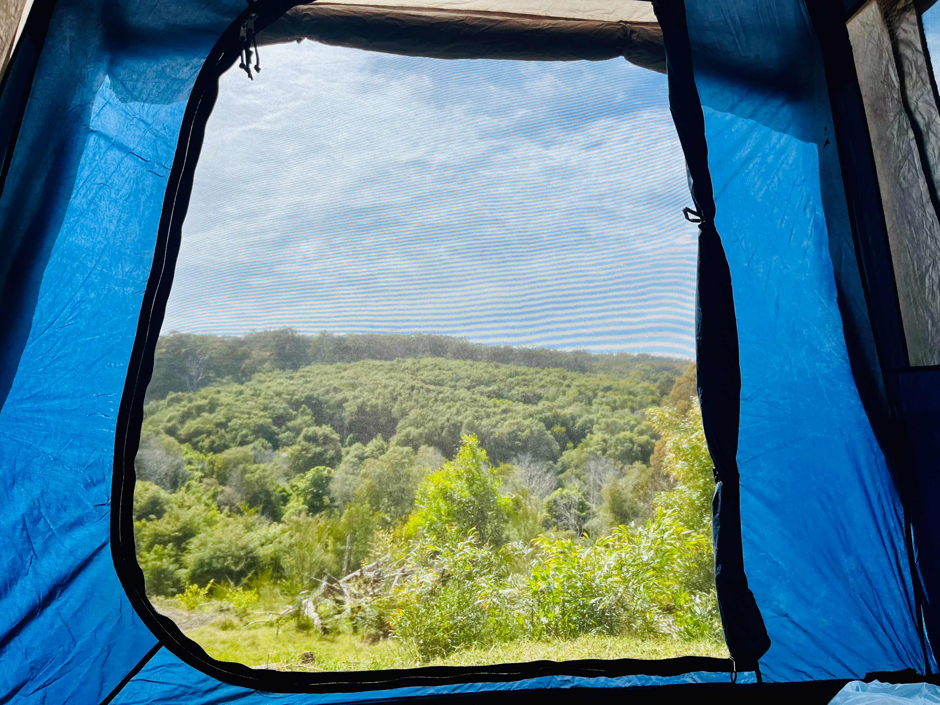 Wombat's Perch - Eden Cove