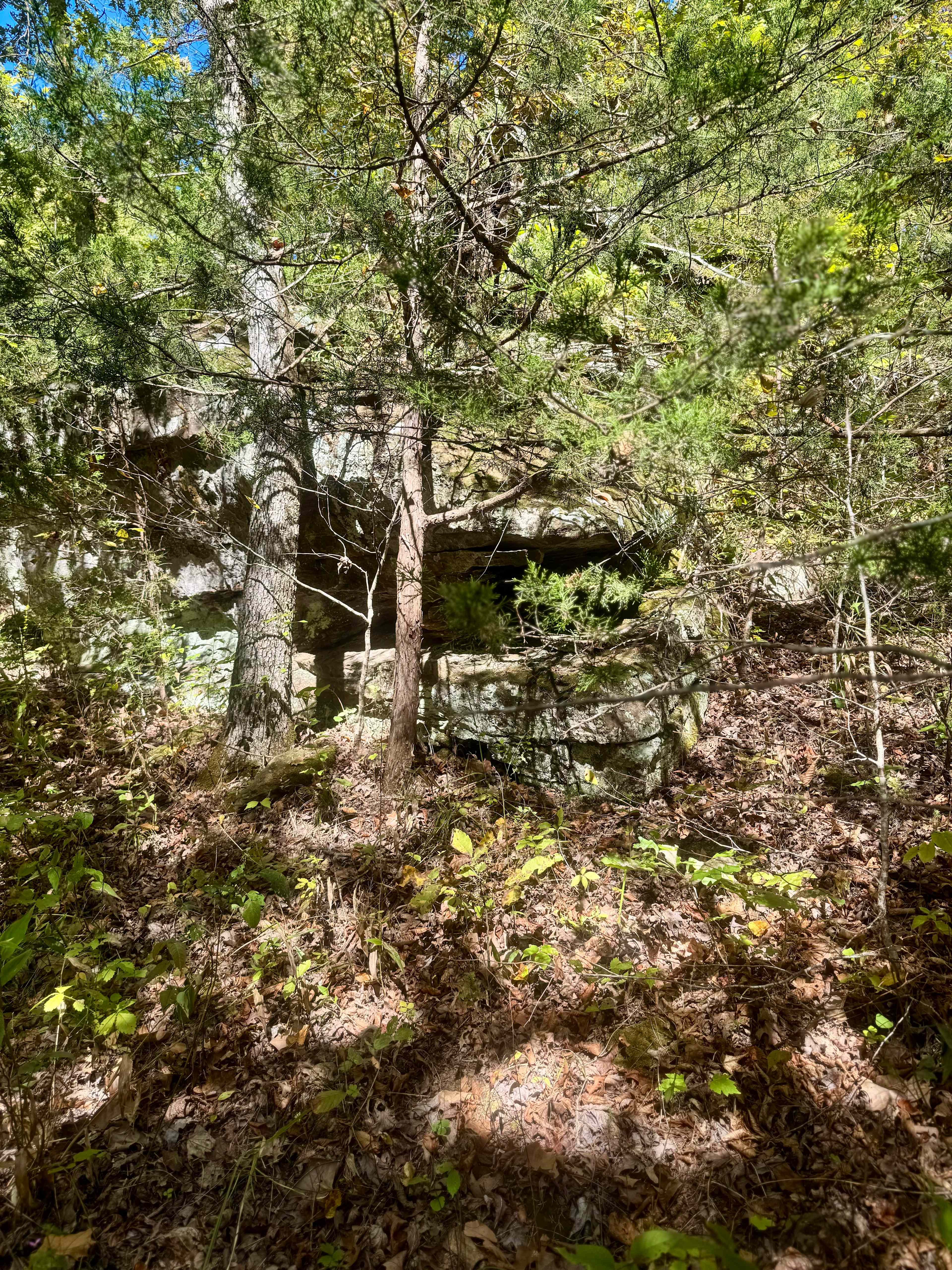 Enchanted Ozark Fairytale Camp