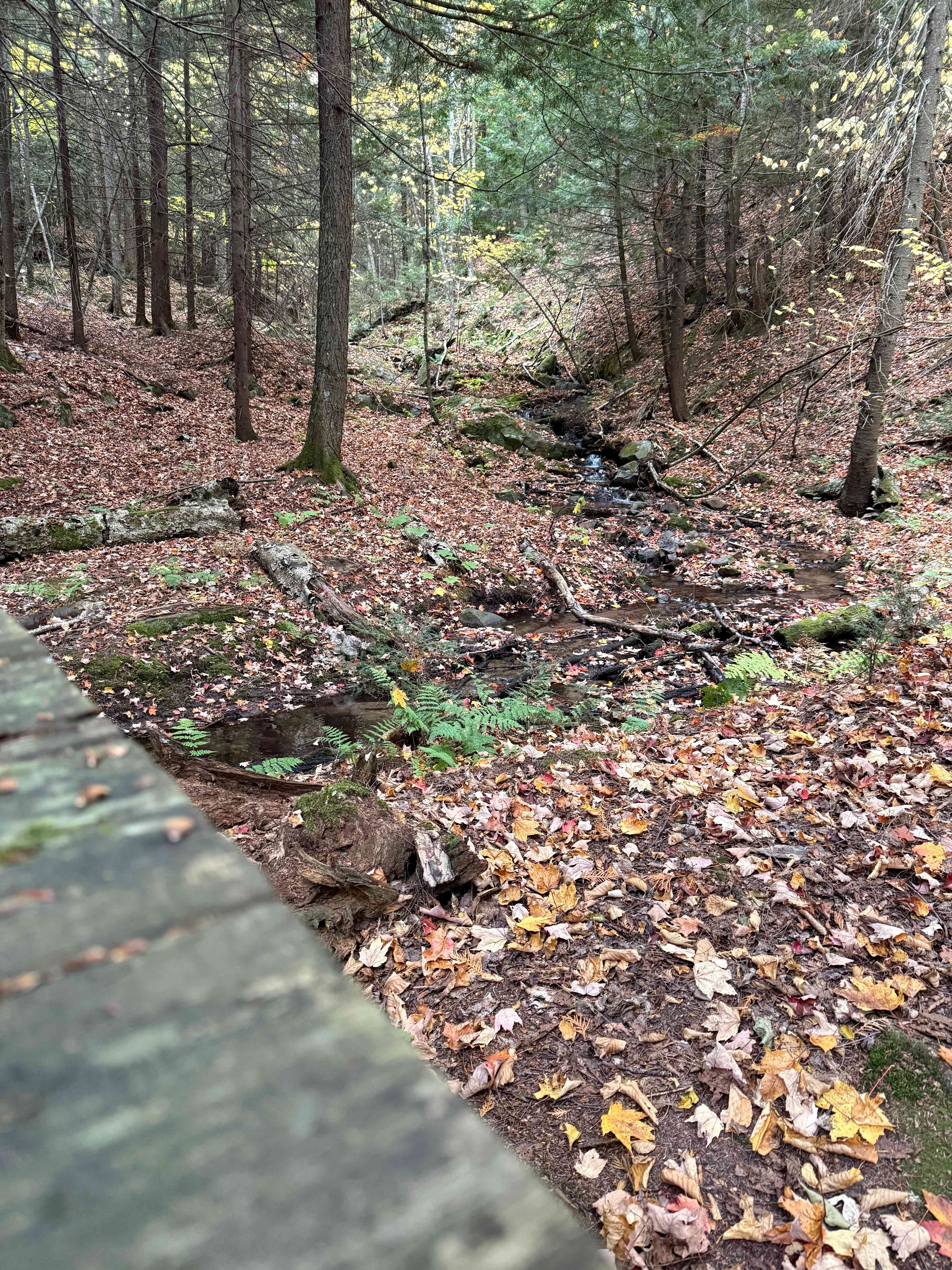 Possum Creek Campground