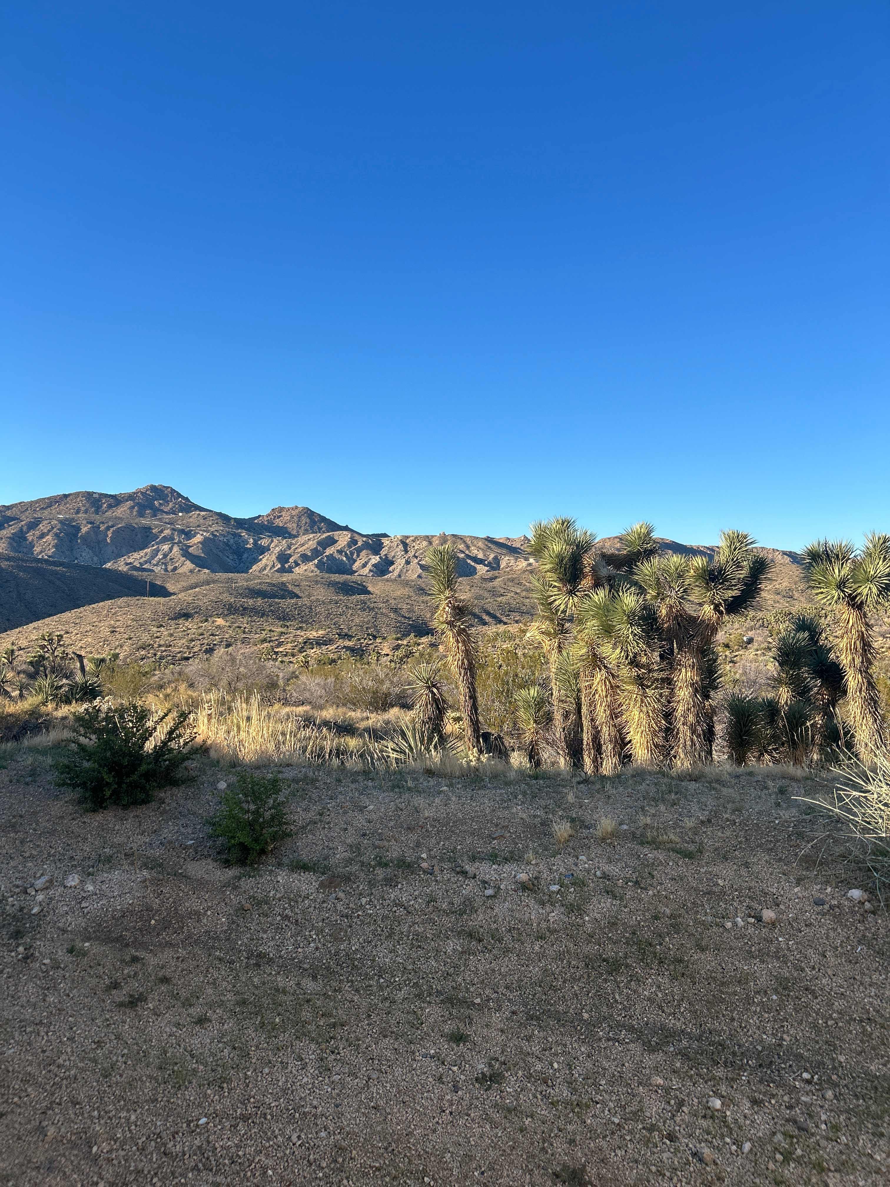 Outward view from campsite