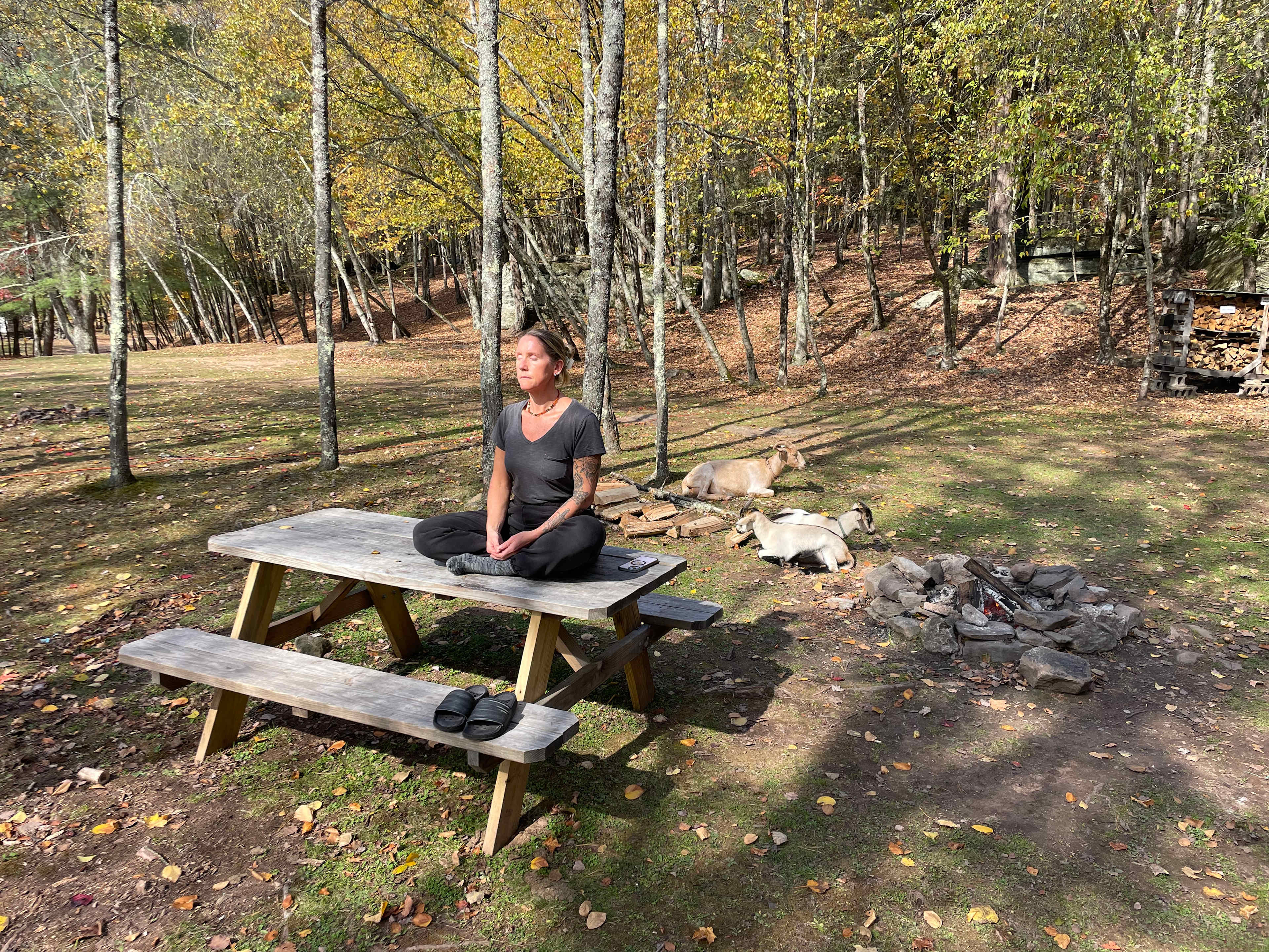 Meditating with goats!