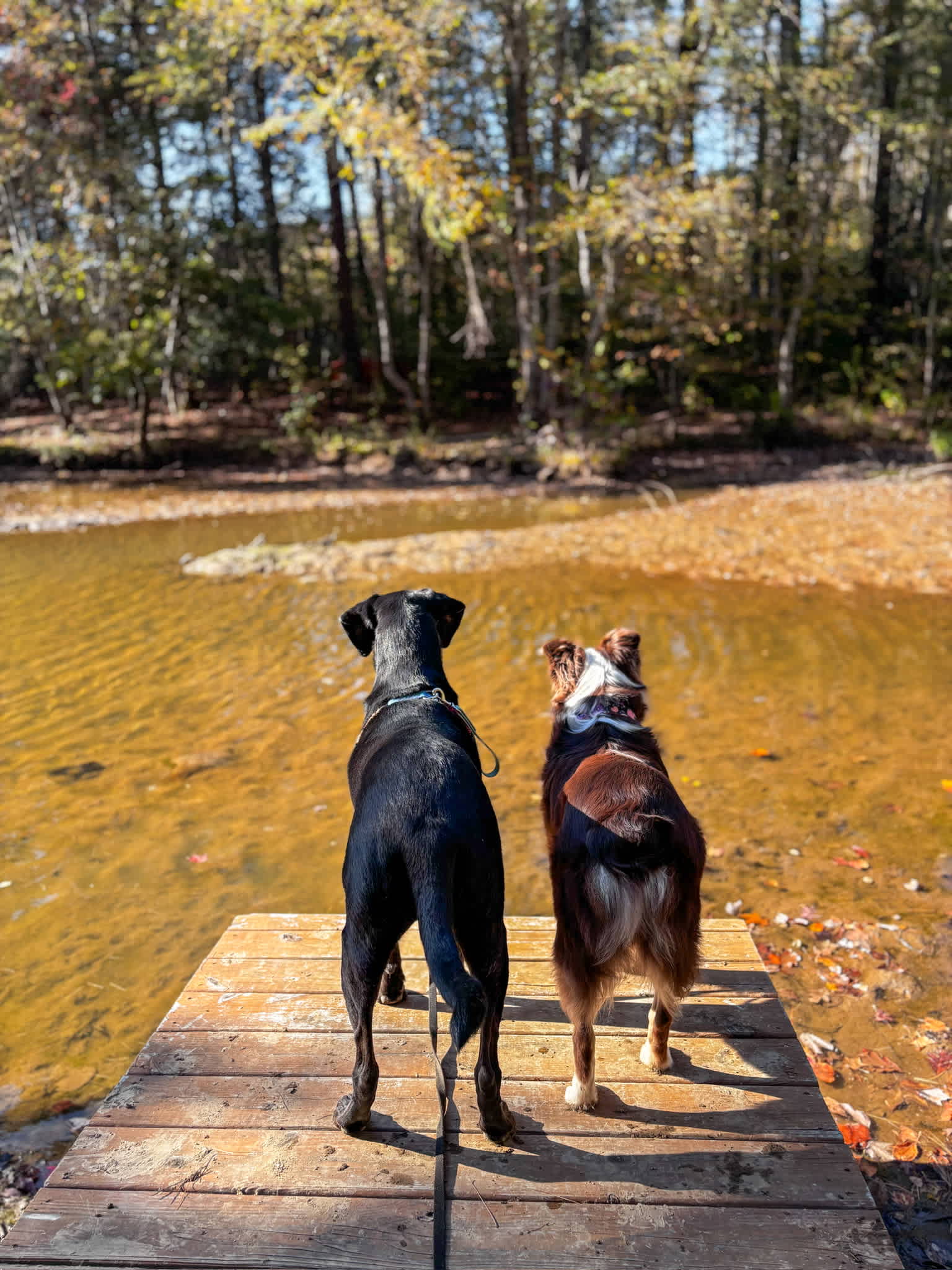 The water was low when we were there- but it was still a peaceful spot to hang out!
