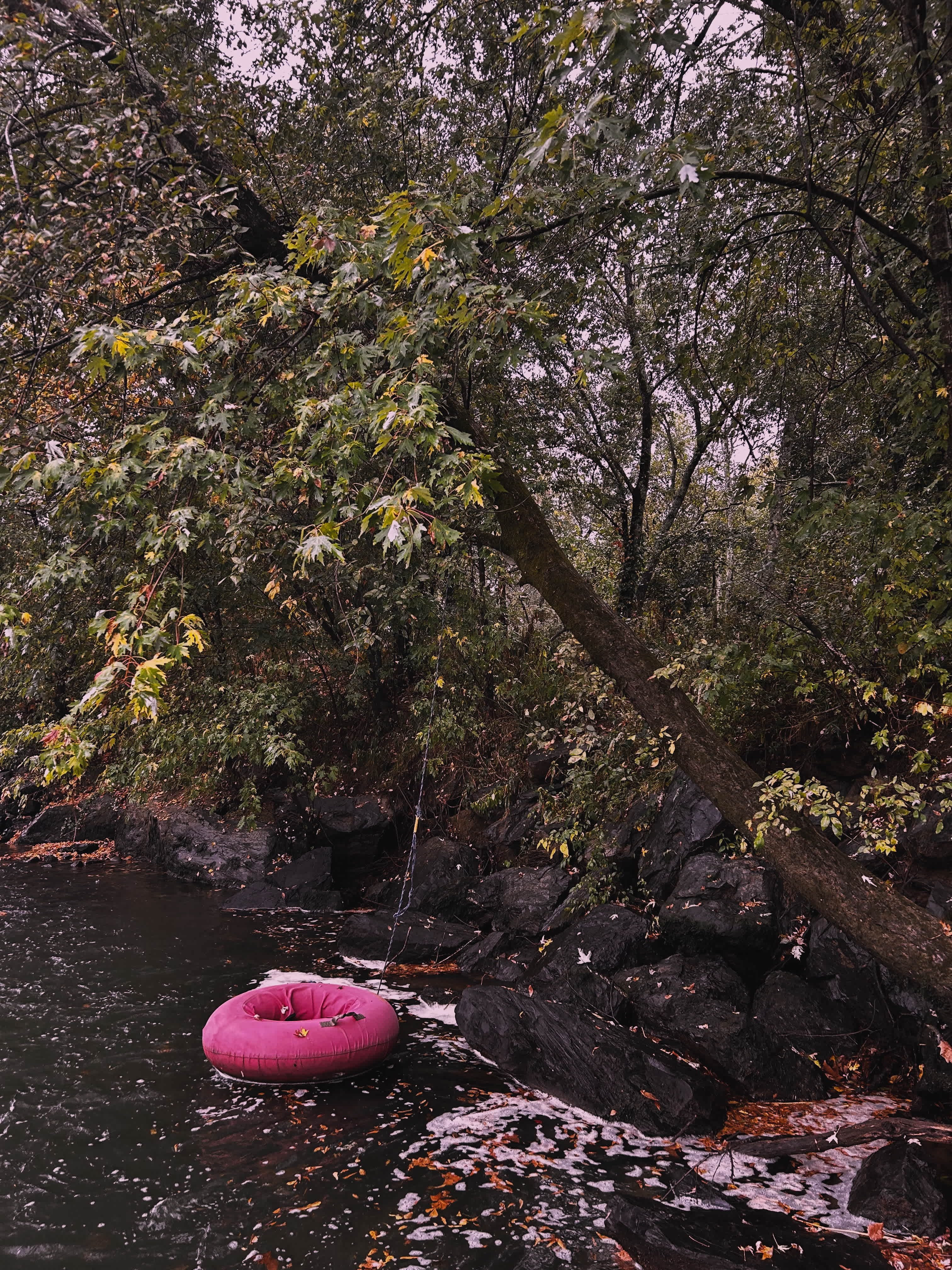 Ouachita River Haven