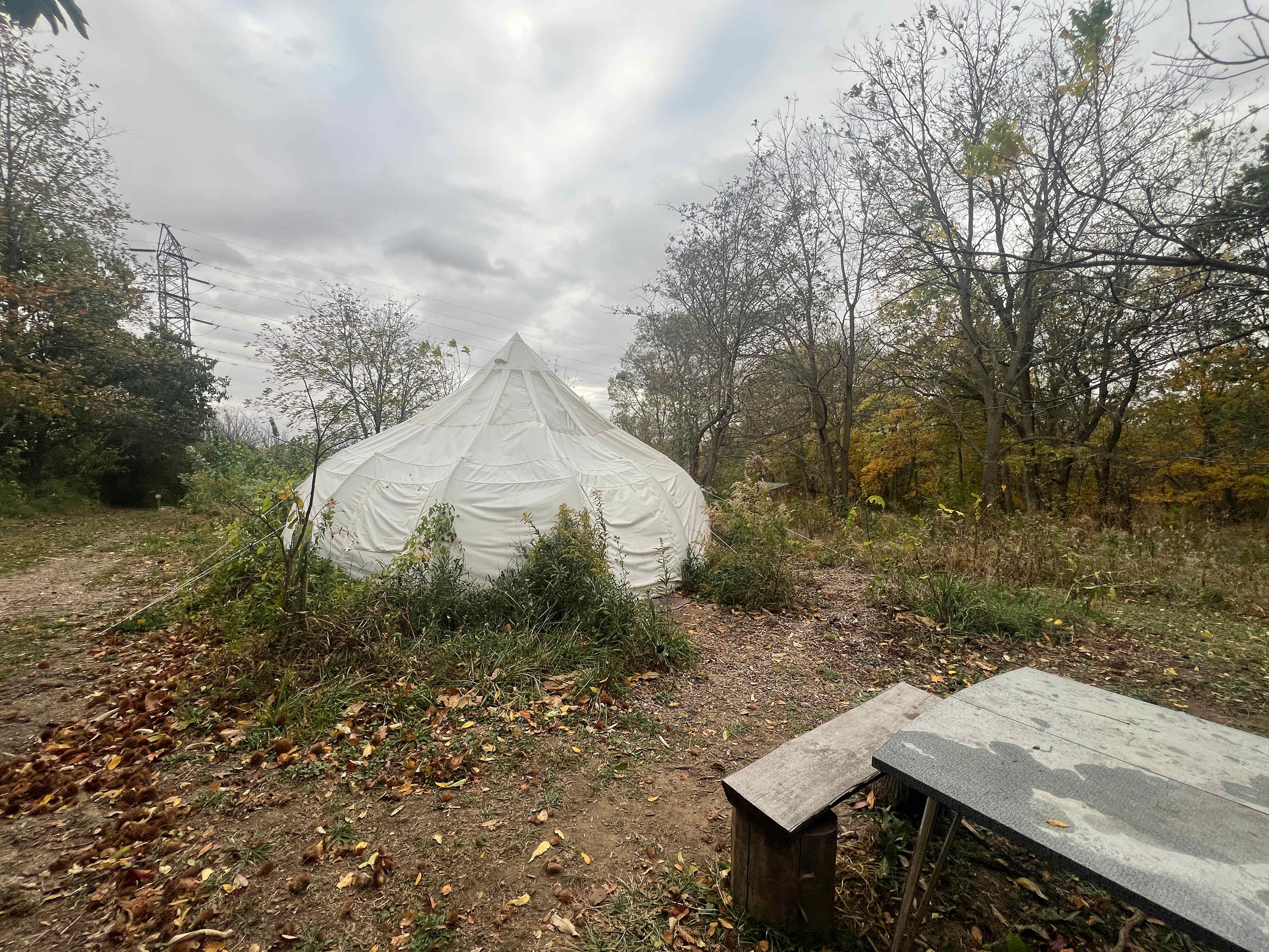 Yurt Glamping Tents + Farm Animals