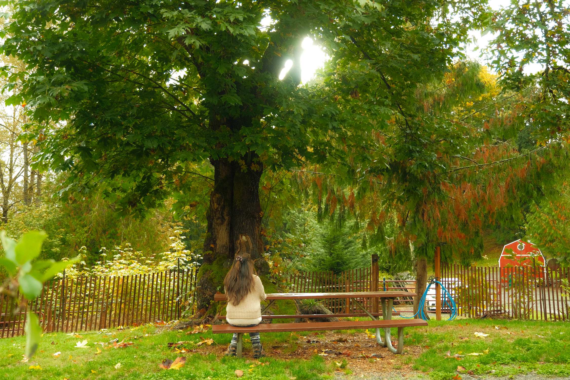 Beautiful view of the farm.