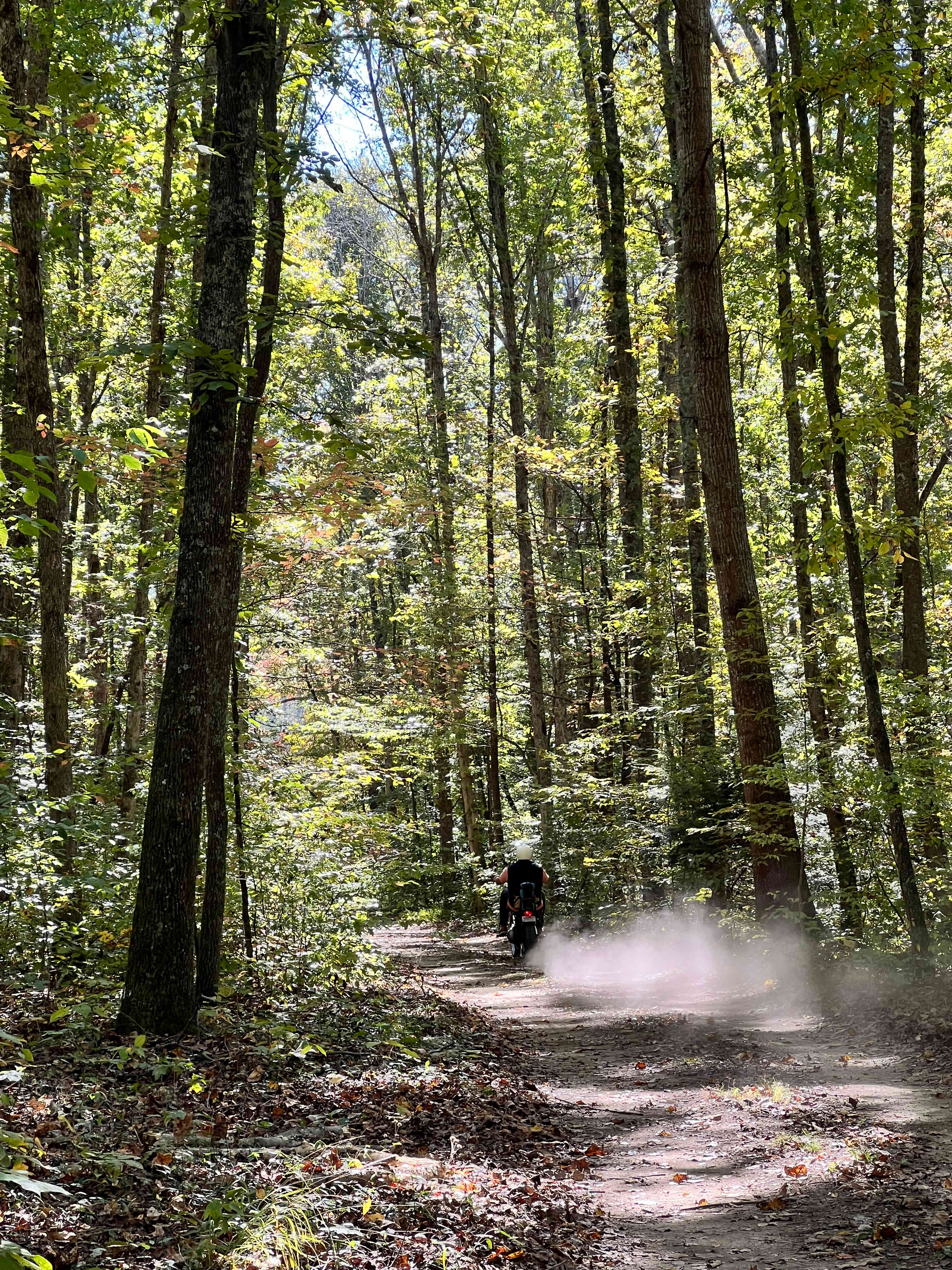 Belle and Beau Acres